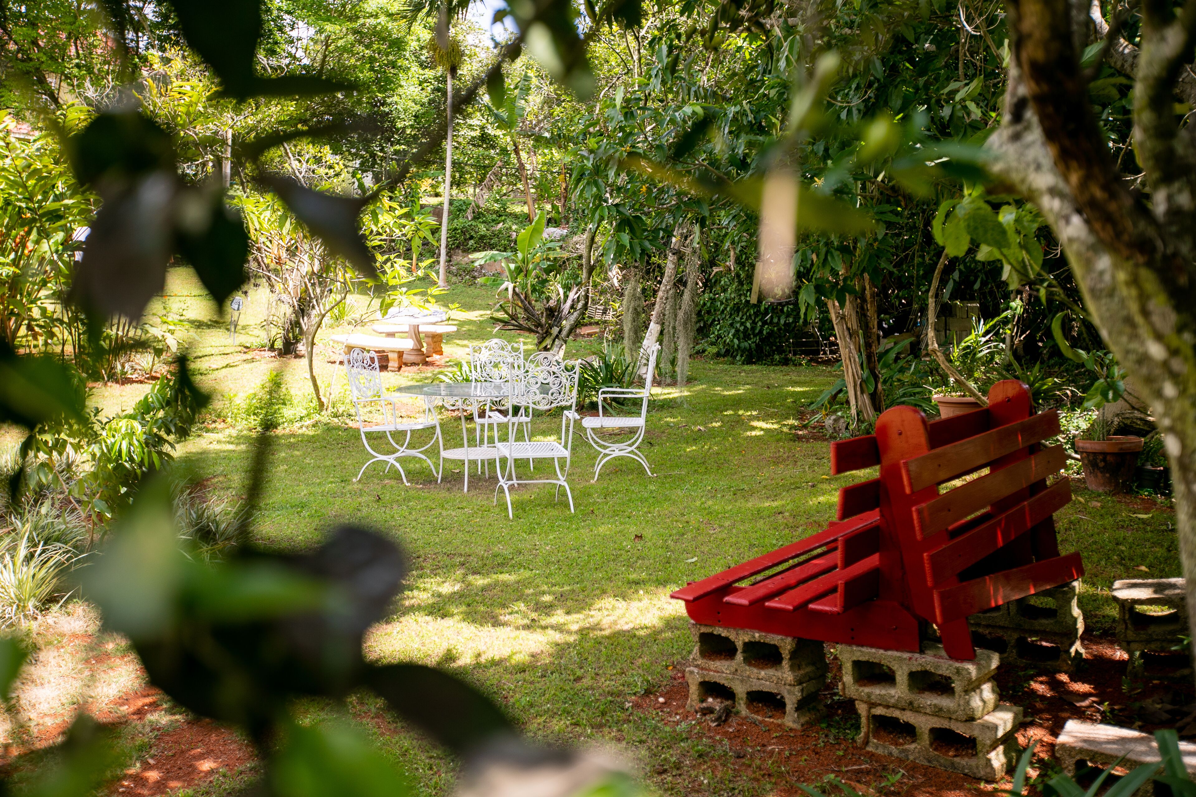 Casa da Buena Vista