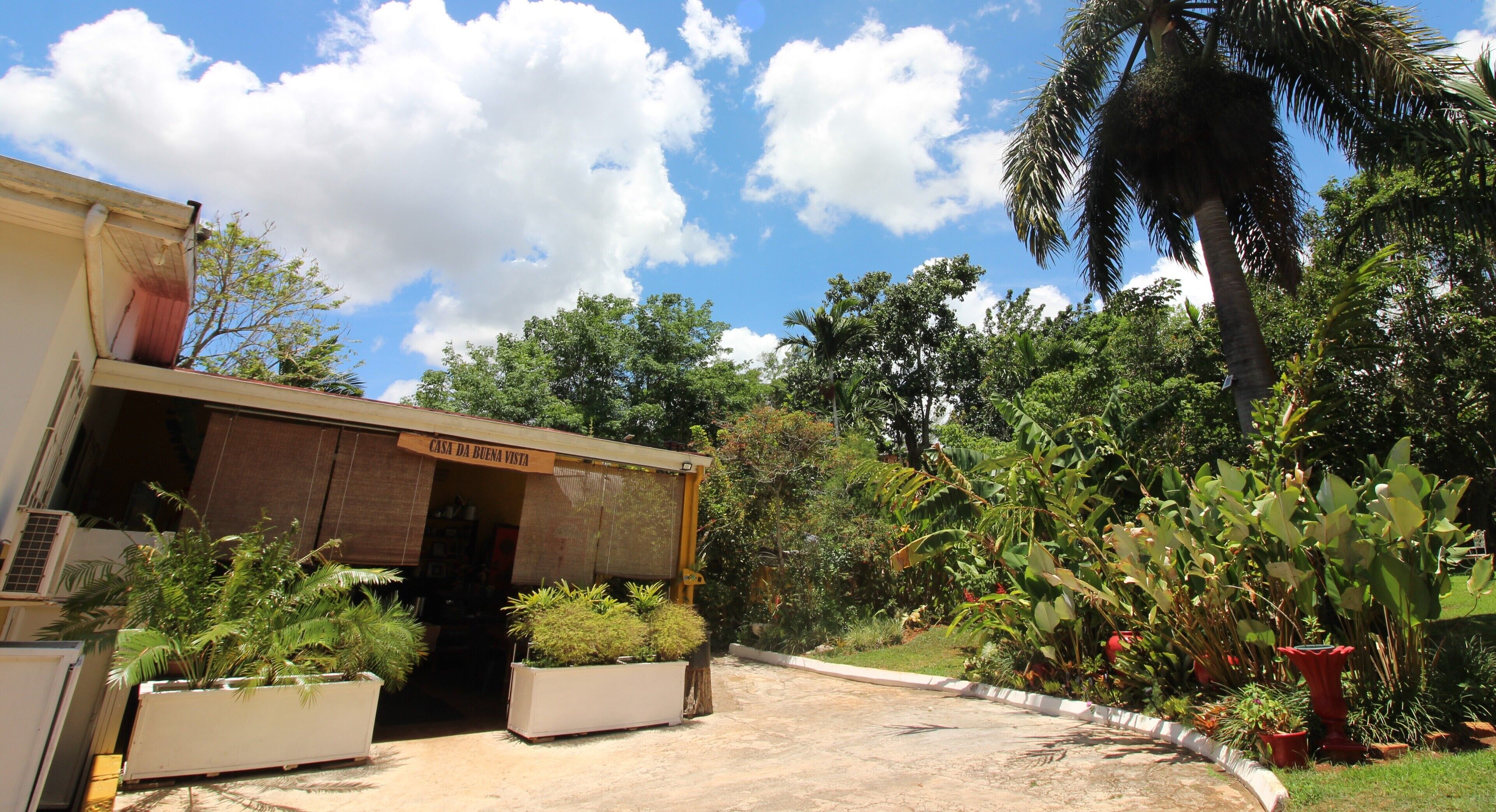 Casa da Buena Vista