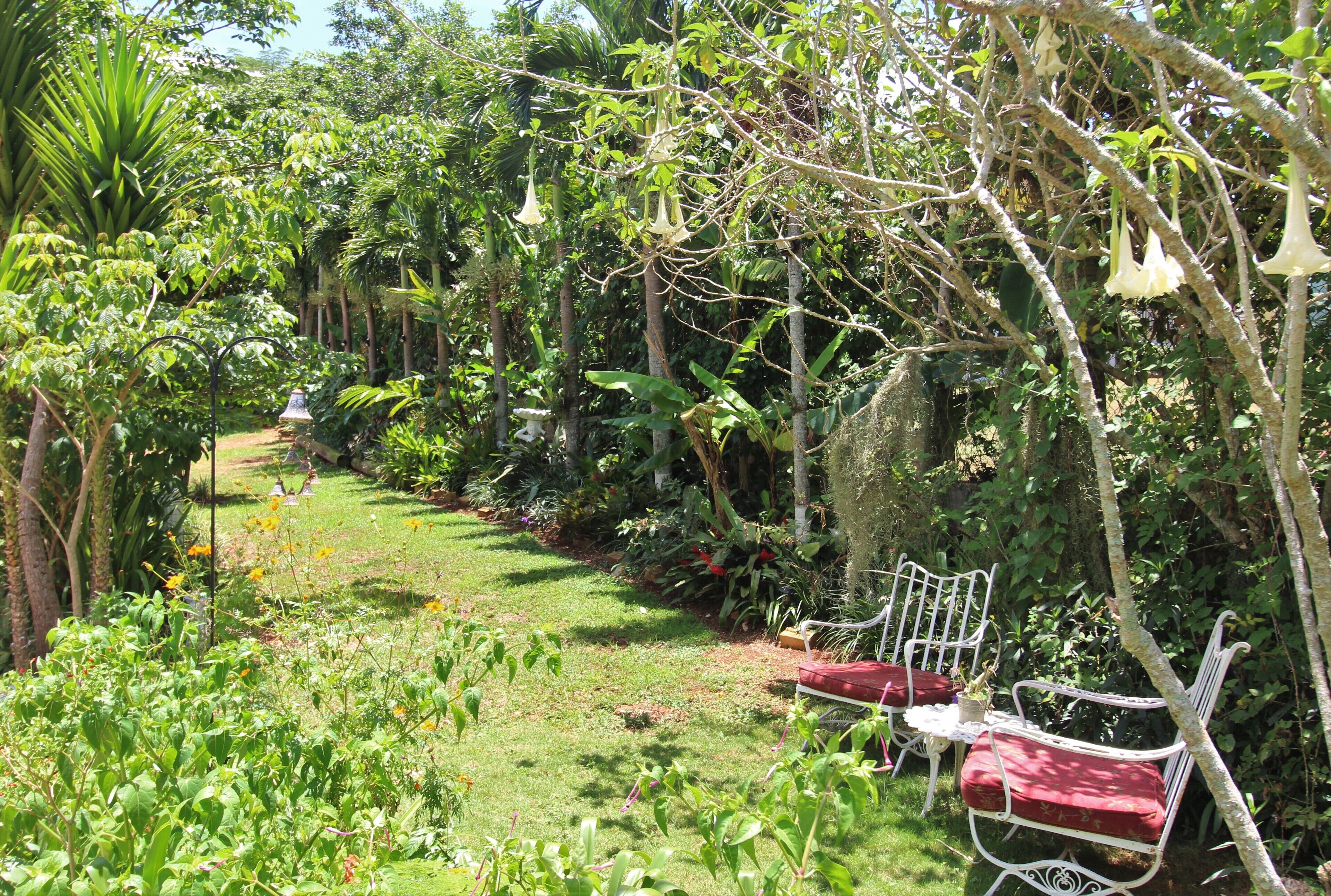 Casa da Buena Vista