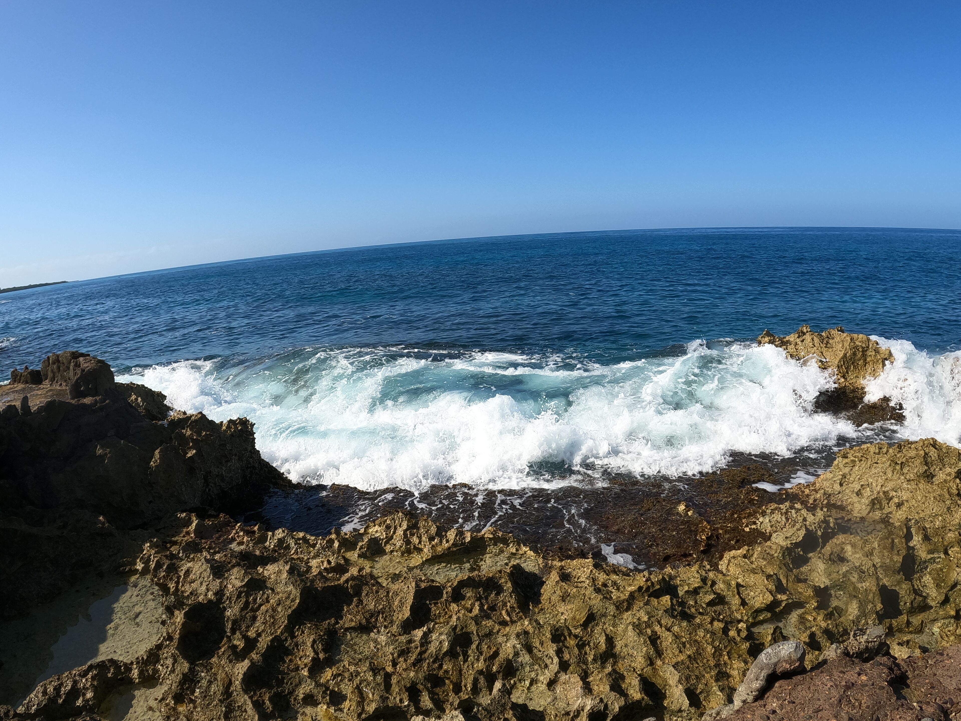 Coral Cove Resort & Spa