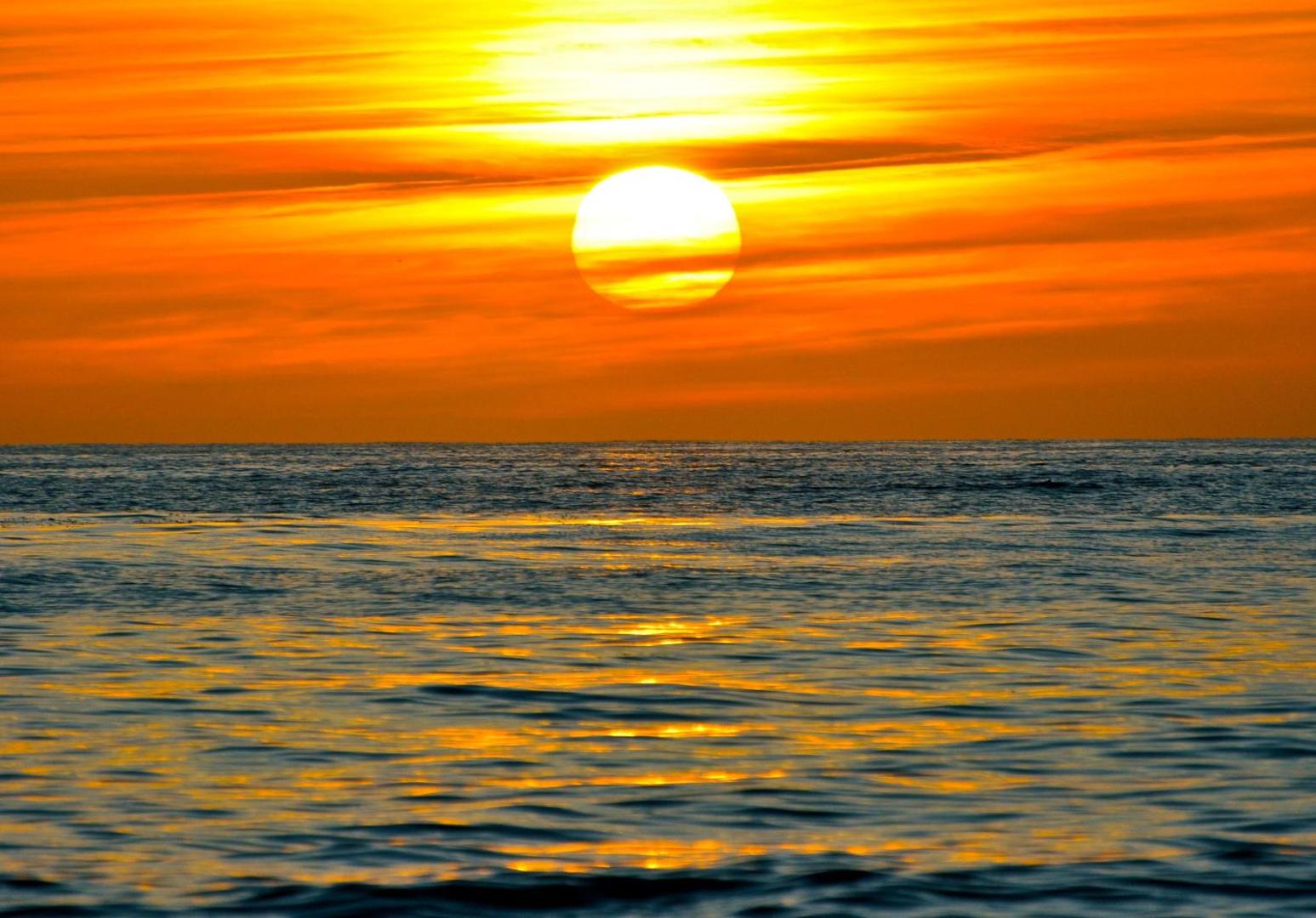 The Ocean Palms Resort