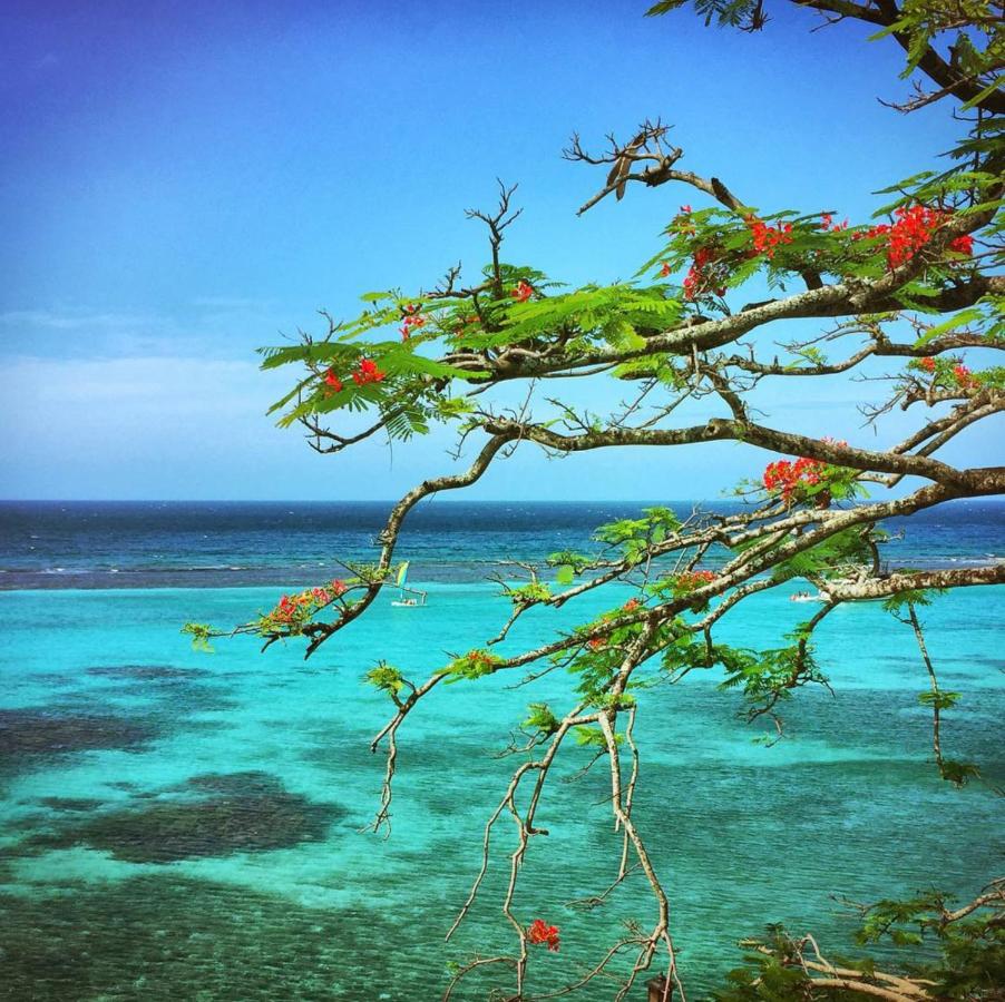 Hibiscus Lodge