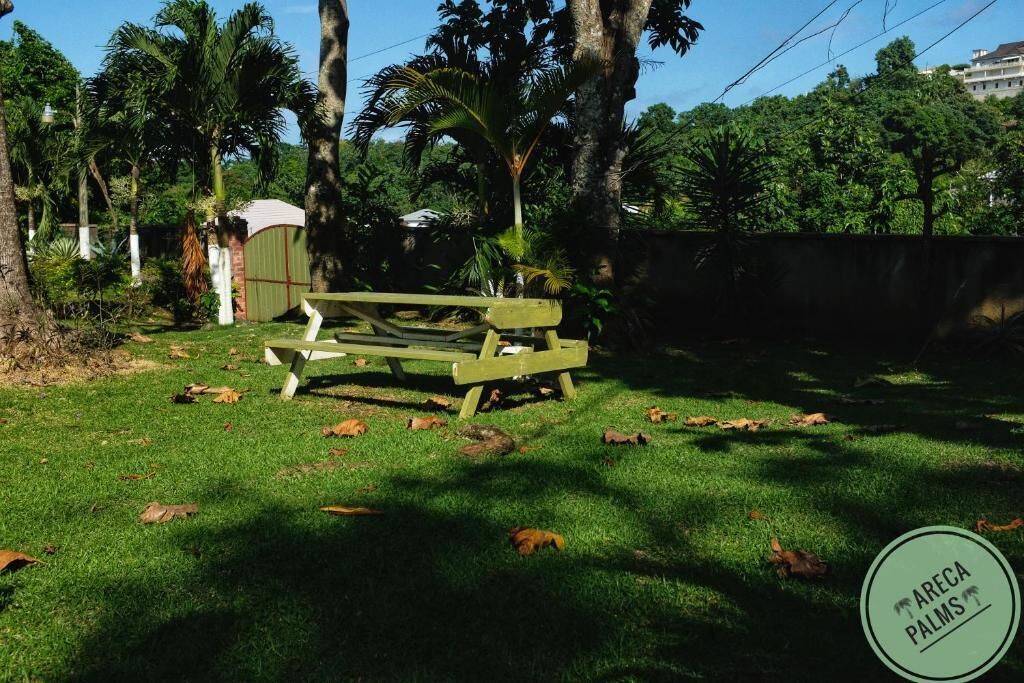 Areca Palms