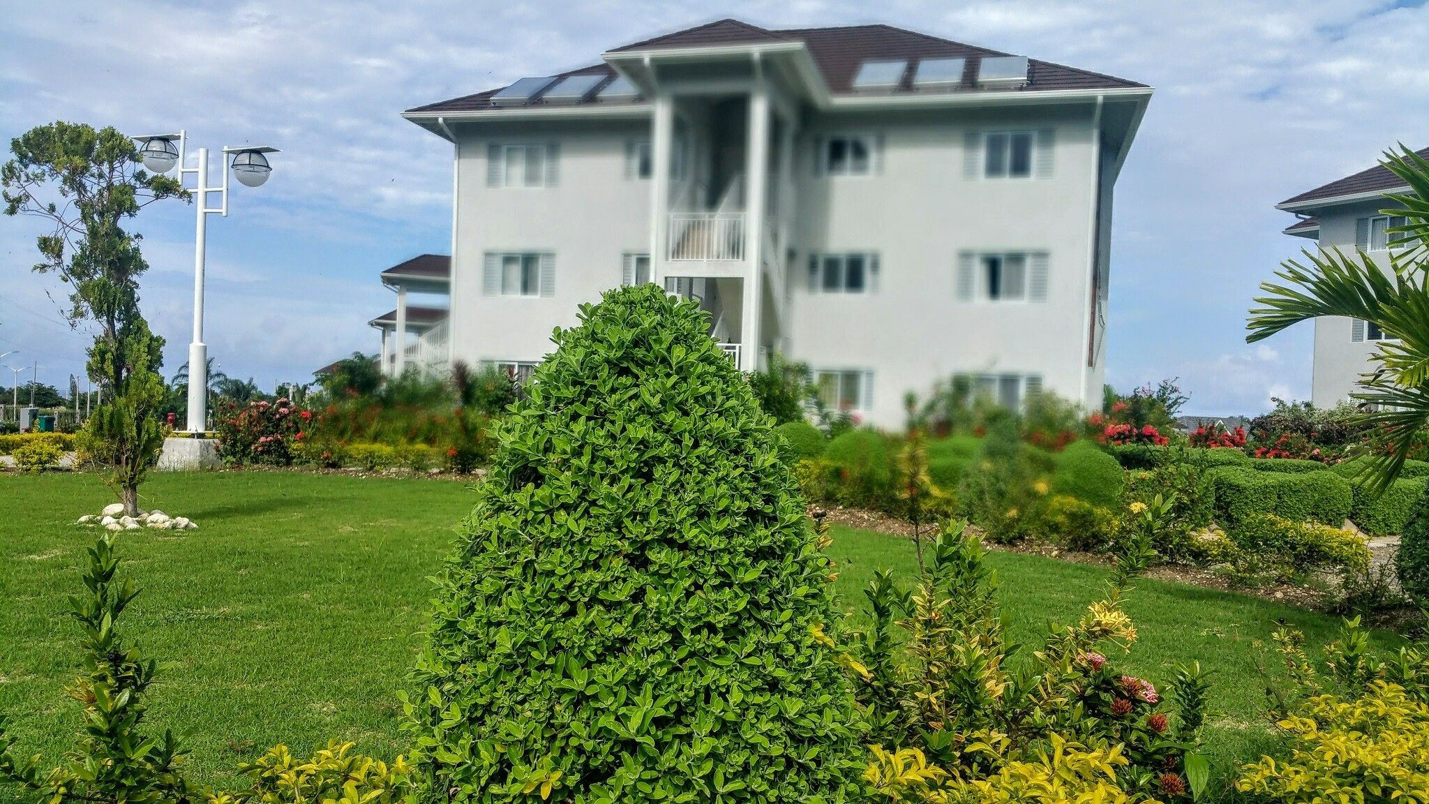 Fern Court at Richmond