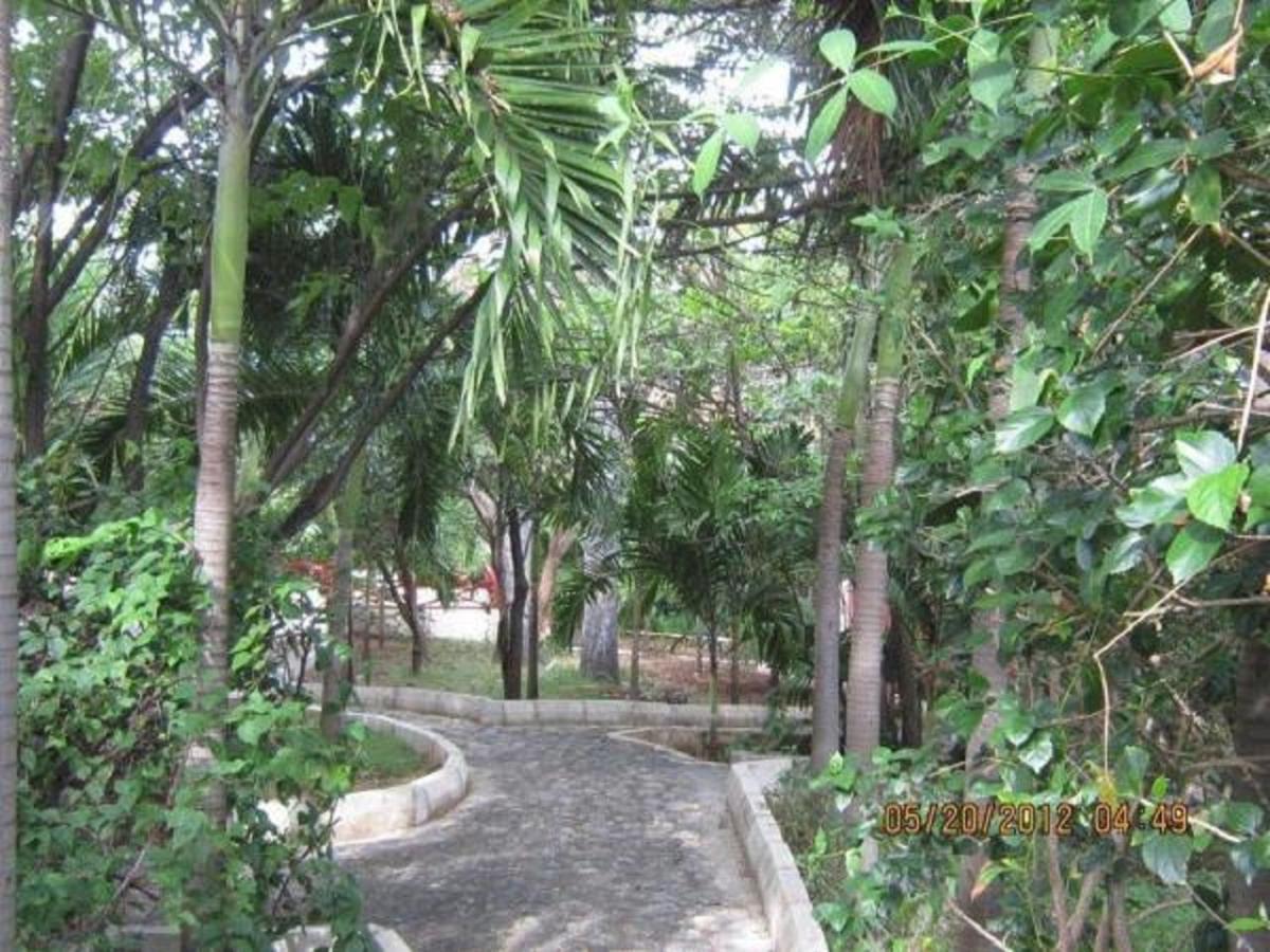 Treasure Beach Hotel