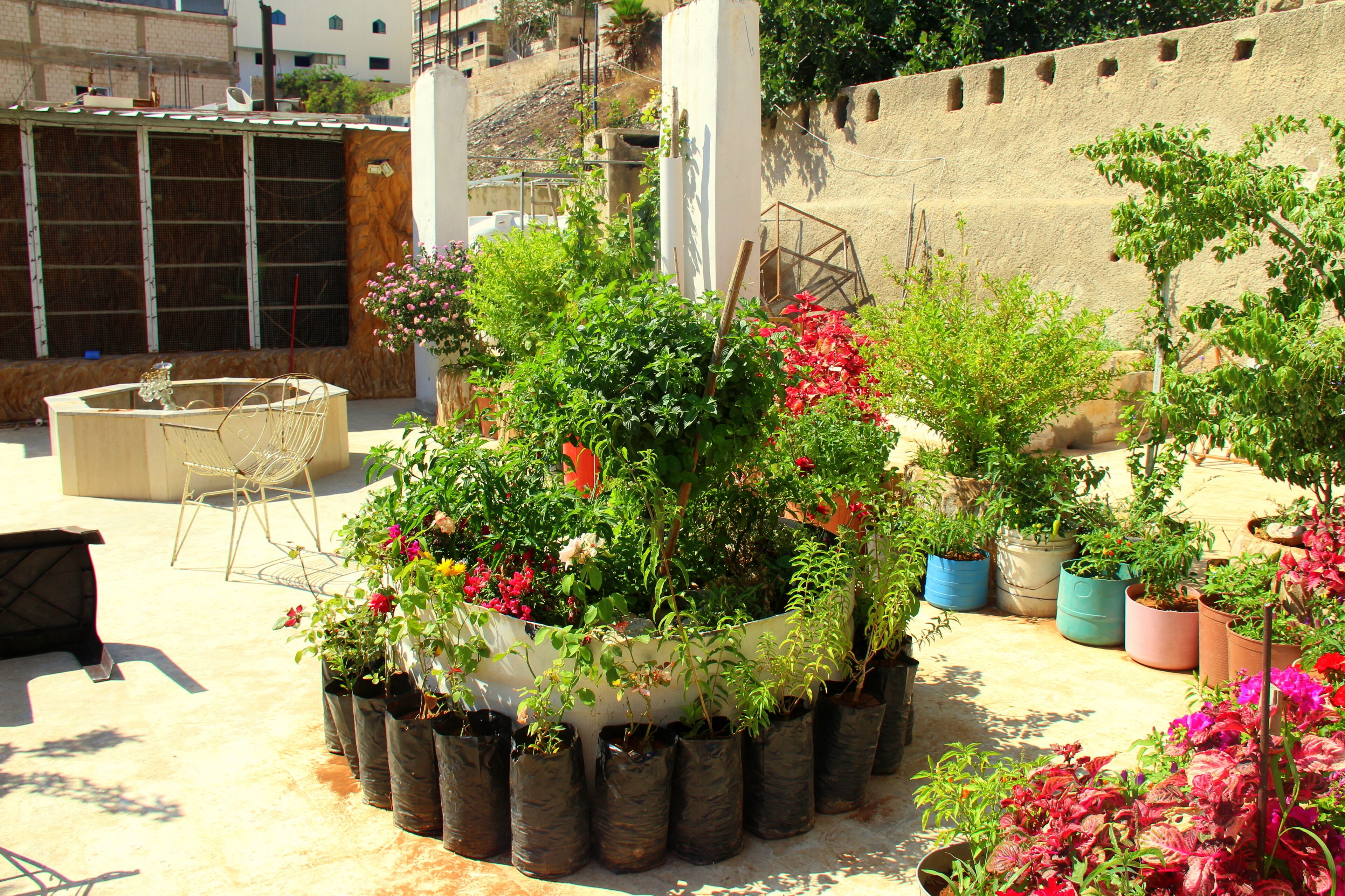 Shurooq Shams Hotel & Tours By Sunrise Hotel