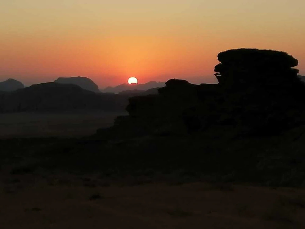 Alamer Hostel Camp