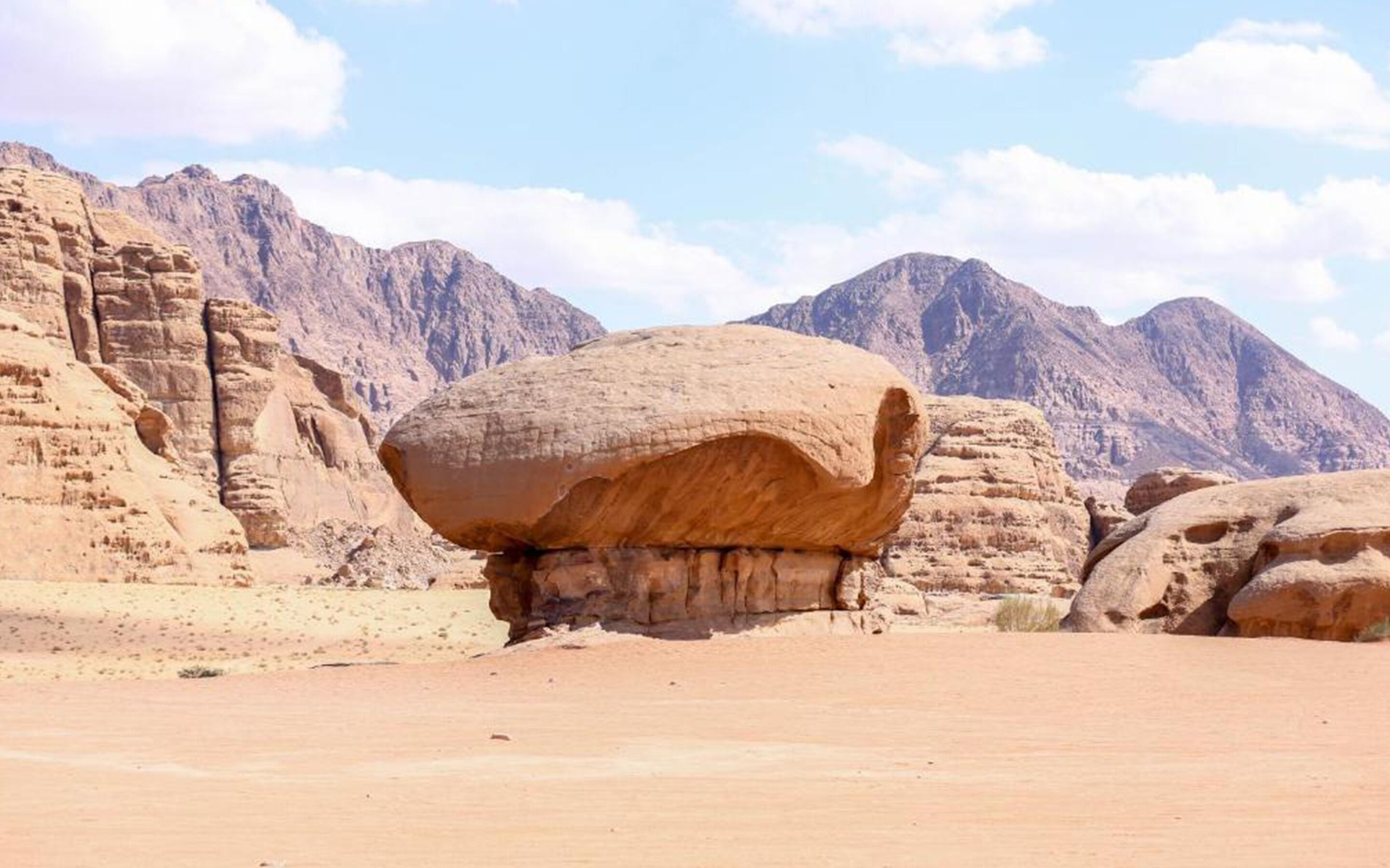 Arena Desert Camp & Adventurers