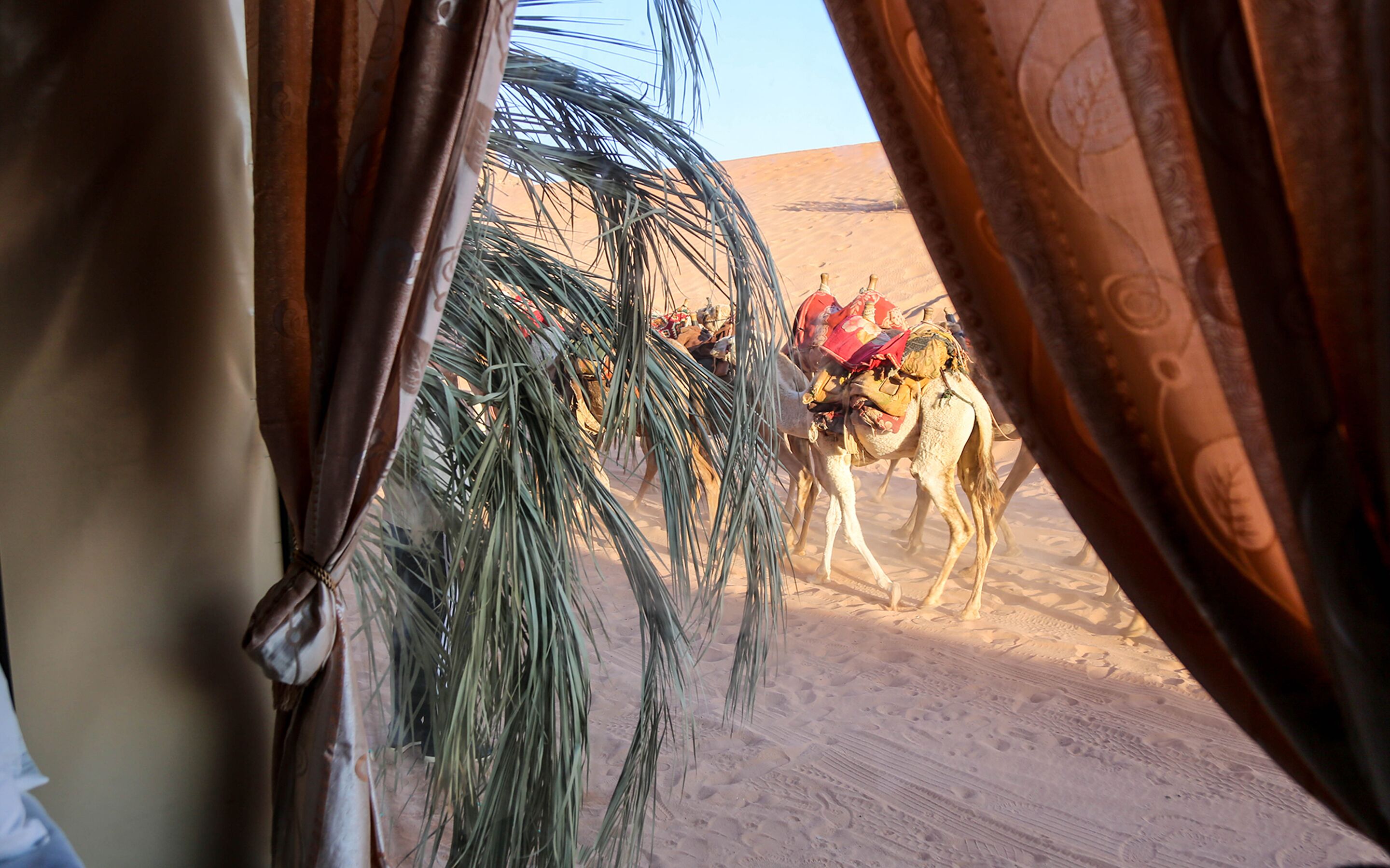 Arena Desert Camp & Adventurers