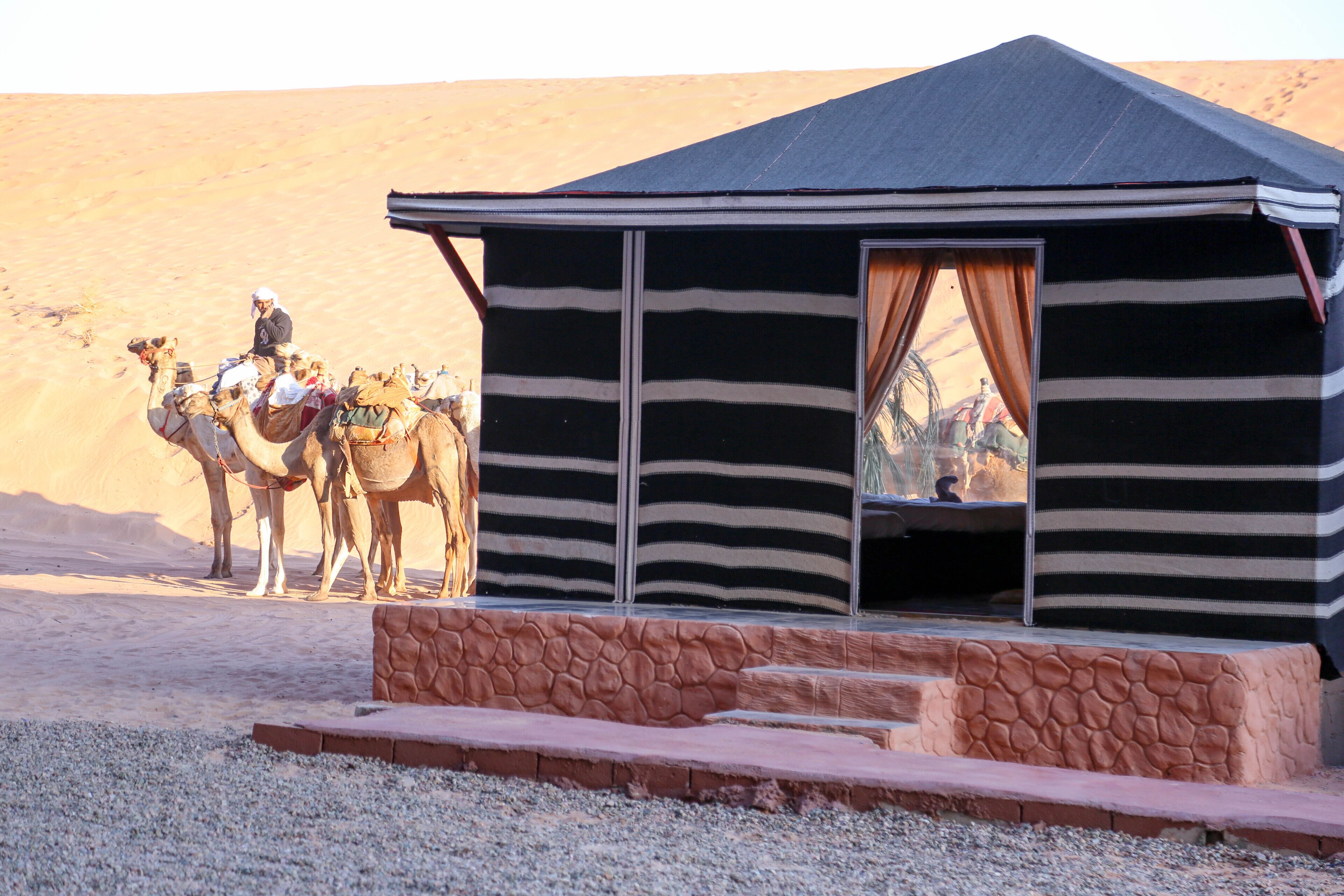 Arena Desert Camp & Adventurers