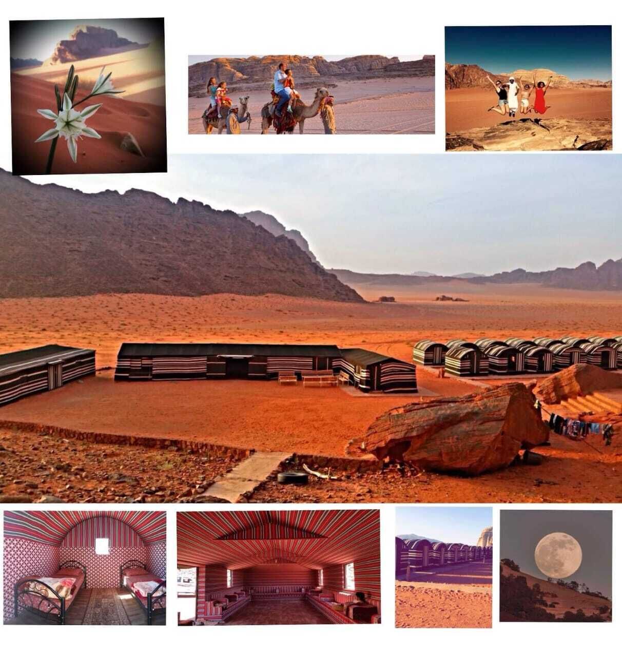 Bedouin Habits Tours Camp
