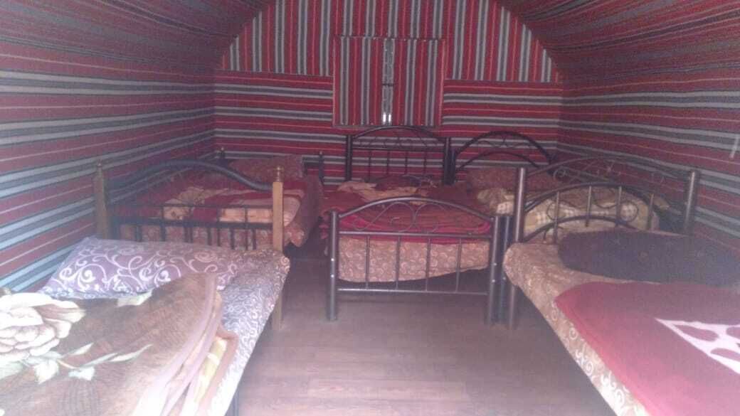 Bedouin Habits Tours Camp