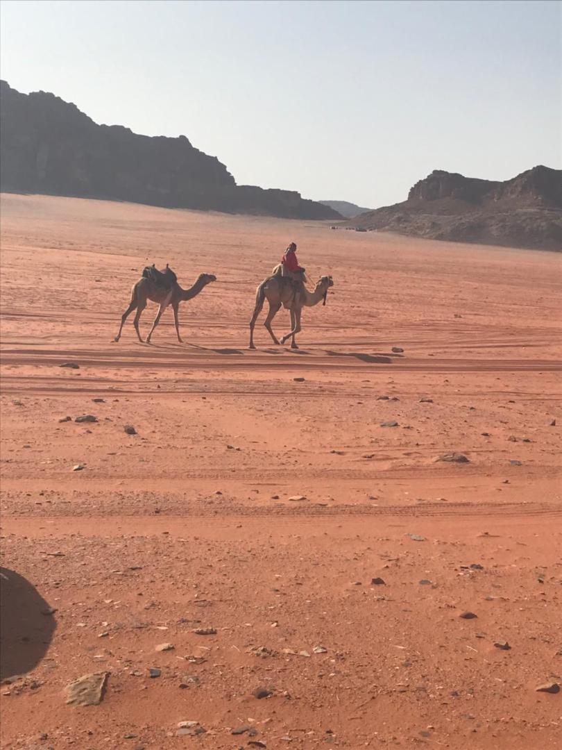 Bedouin House Camp