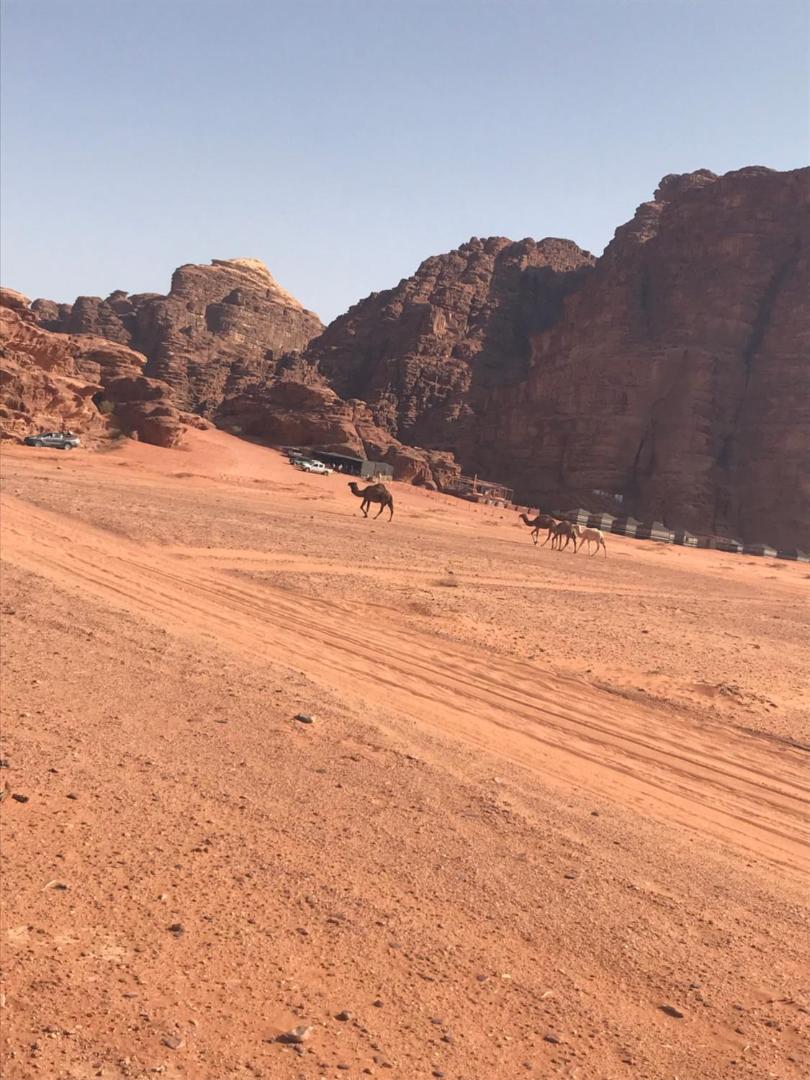 Bedouin House Camp