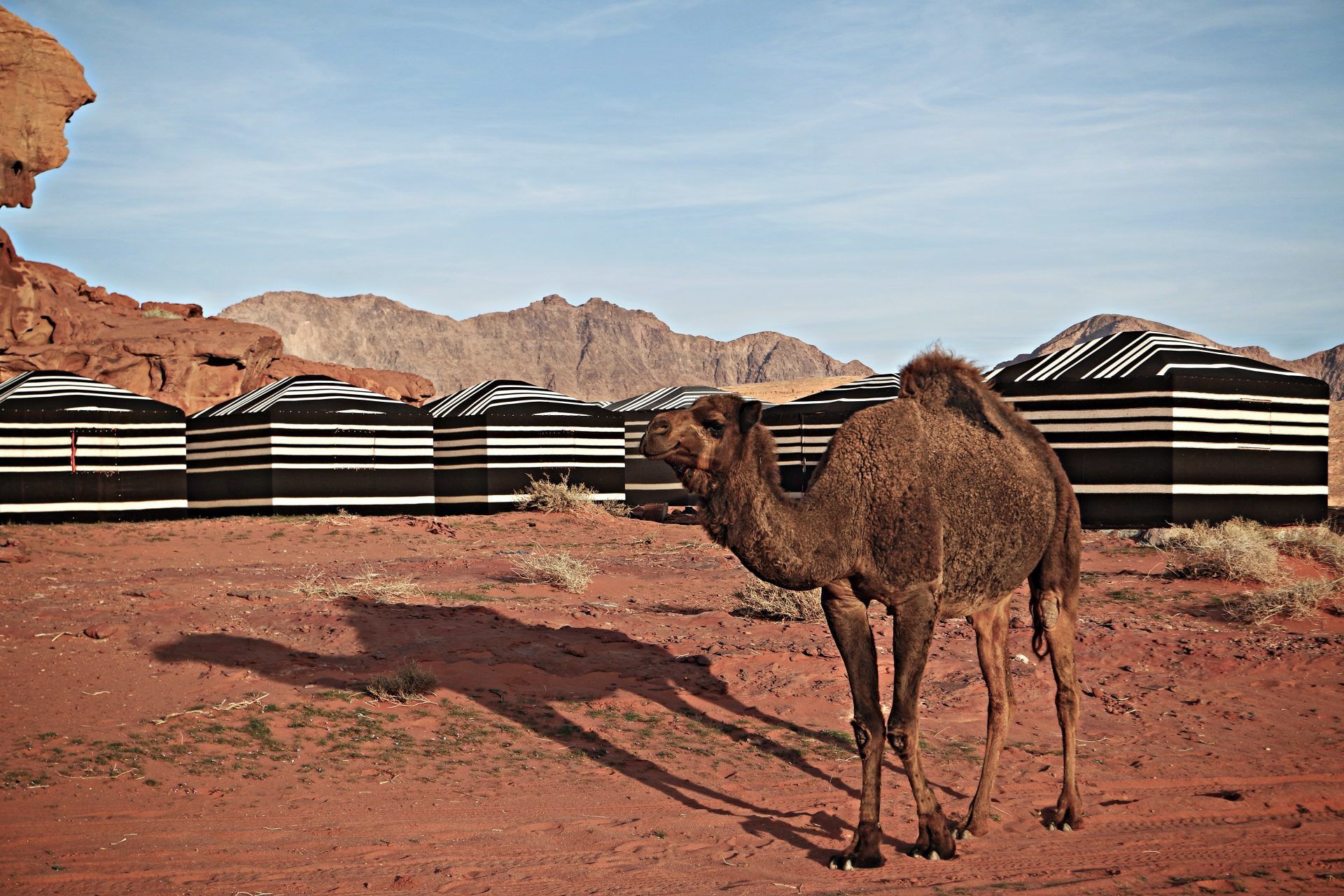 Desert Melody