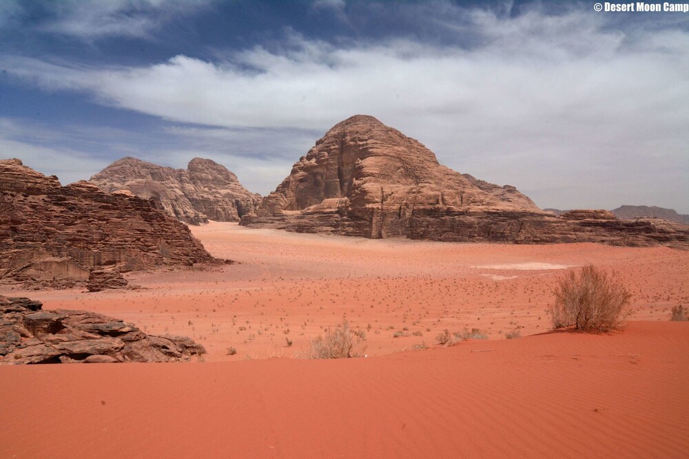 Desert Moon Camp