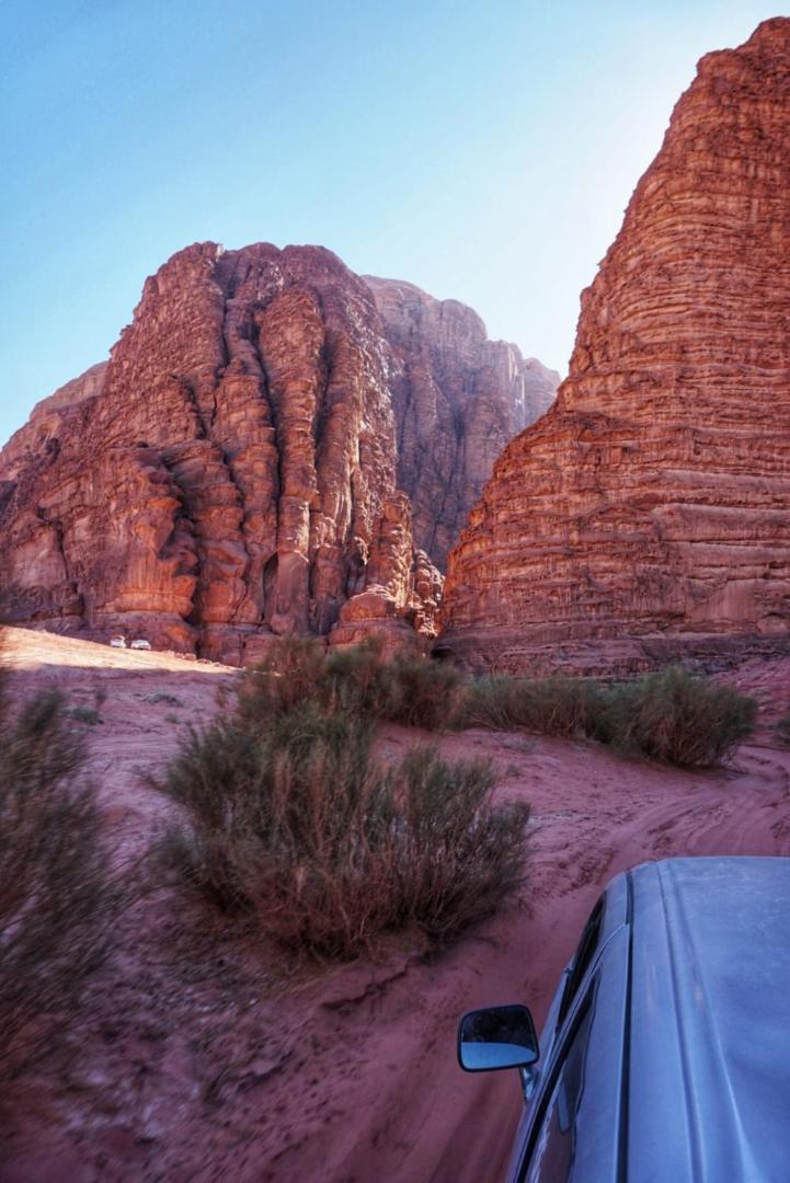 Desert Wolf Camp