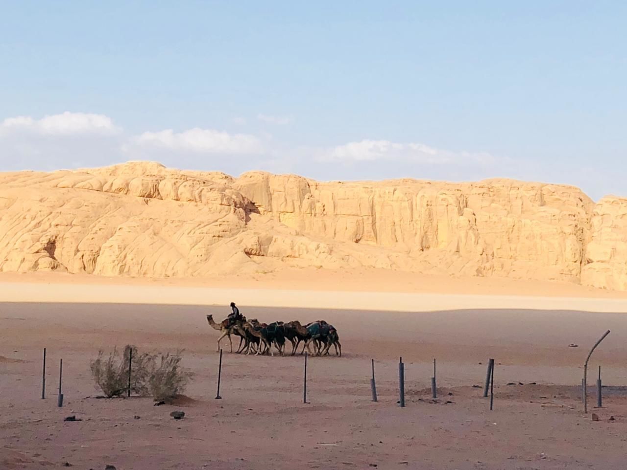 Landscape Rum Camp