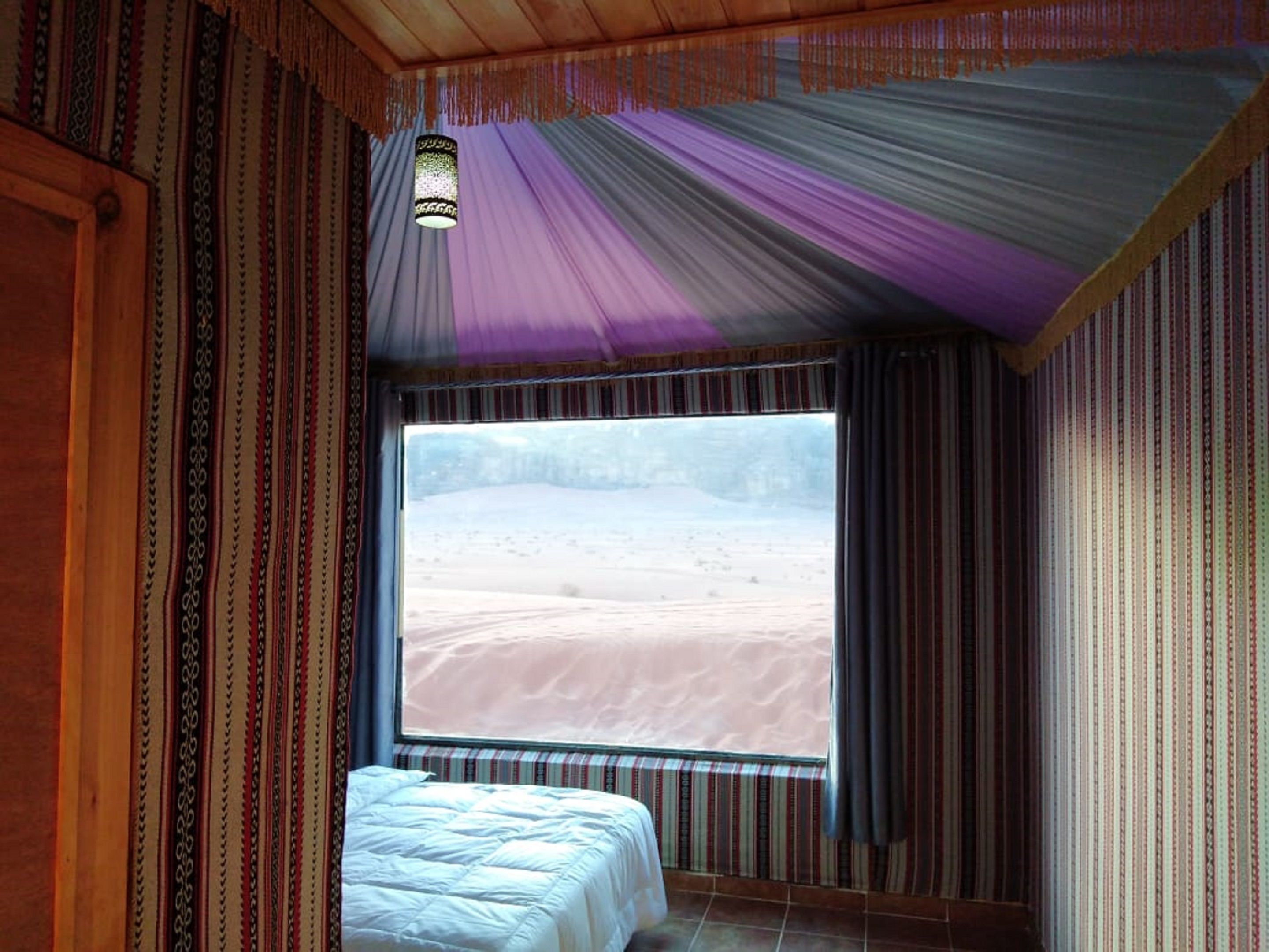 Martian Life Camp