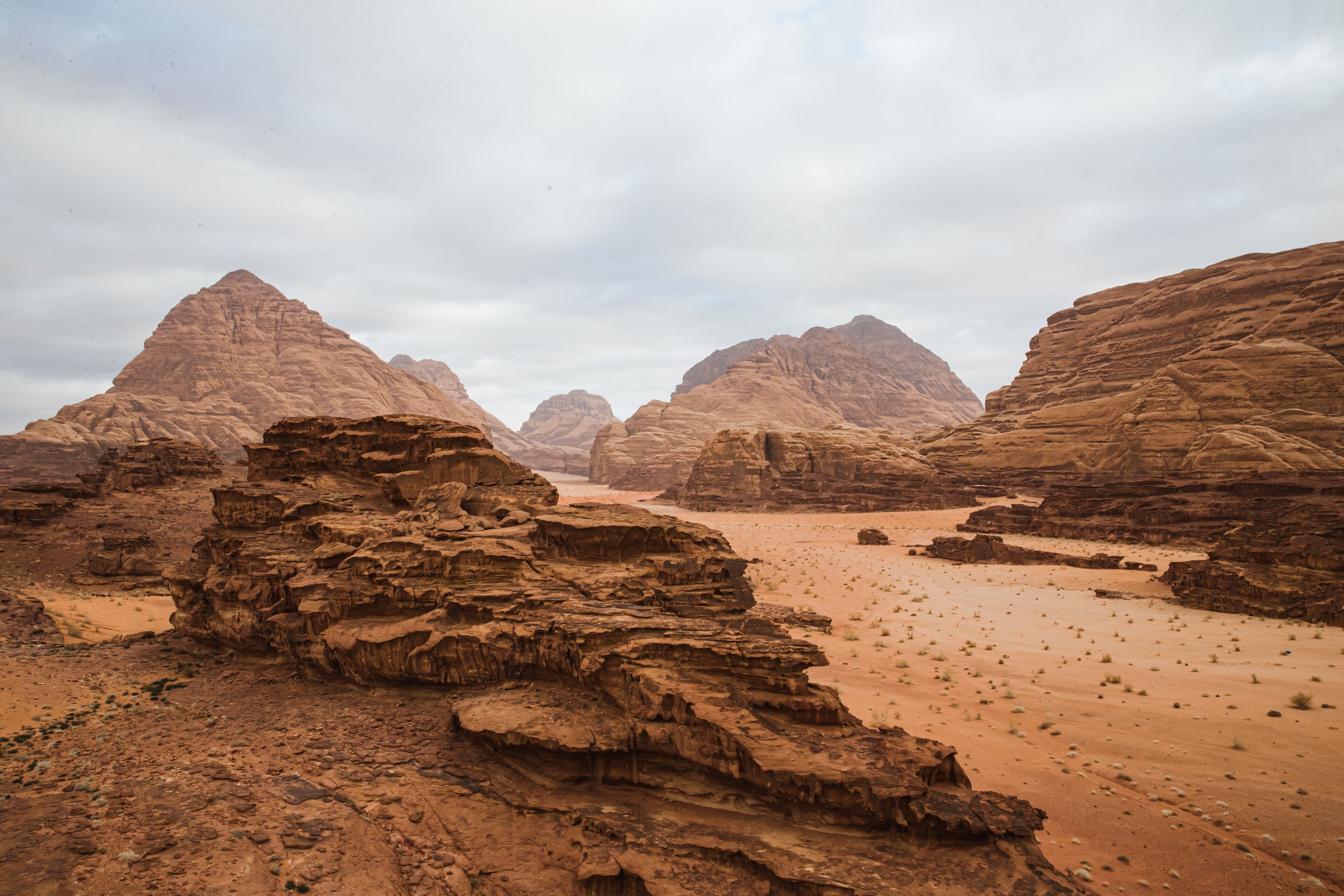 Palmera Camp Wadi Rum