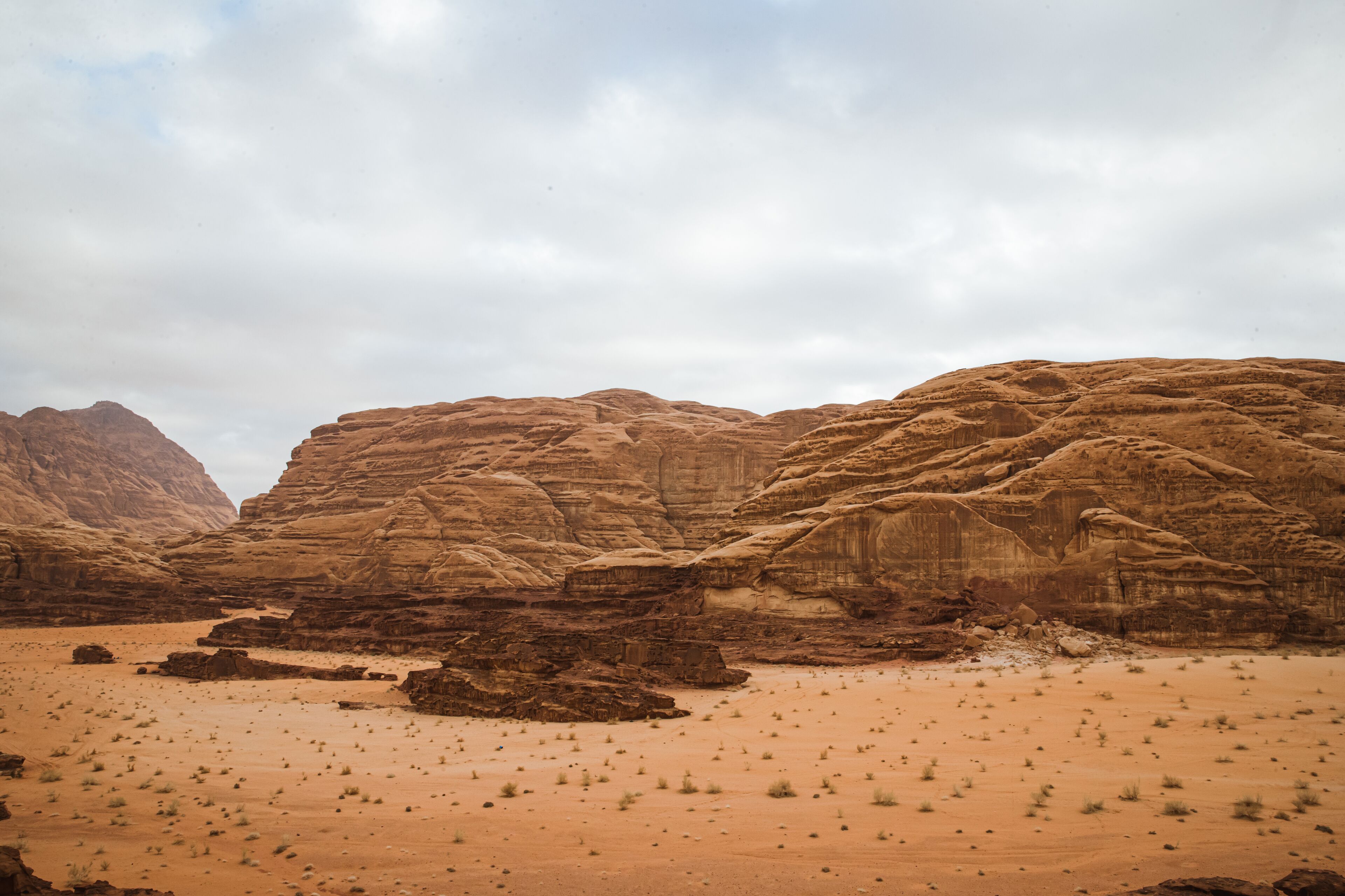 Palmera Camp Wadi Rum