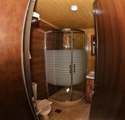Rum Oasis Luxury Camp