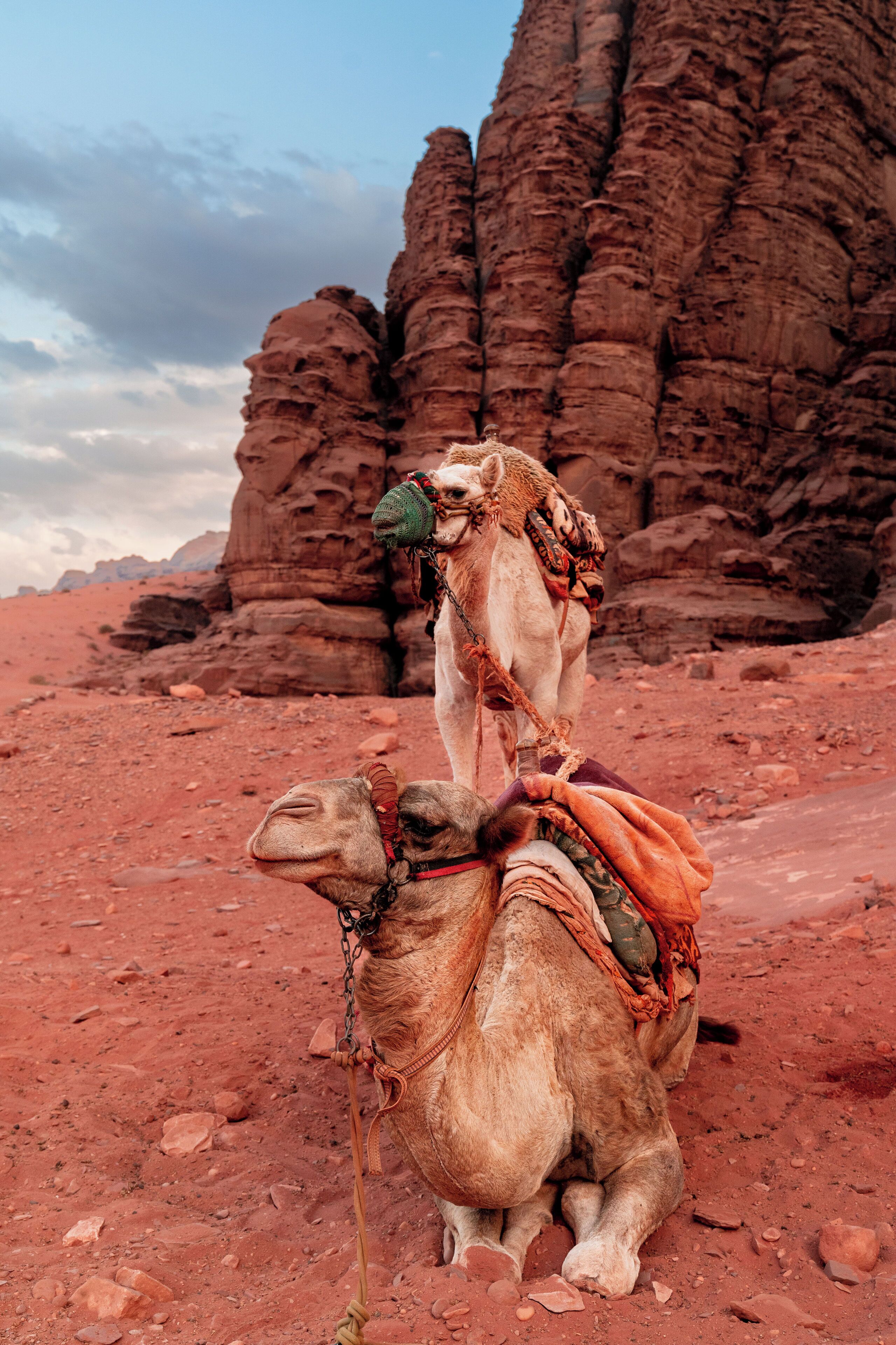 The Villas - Bedouin Boutique Resort