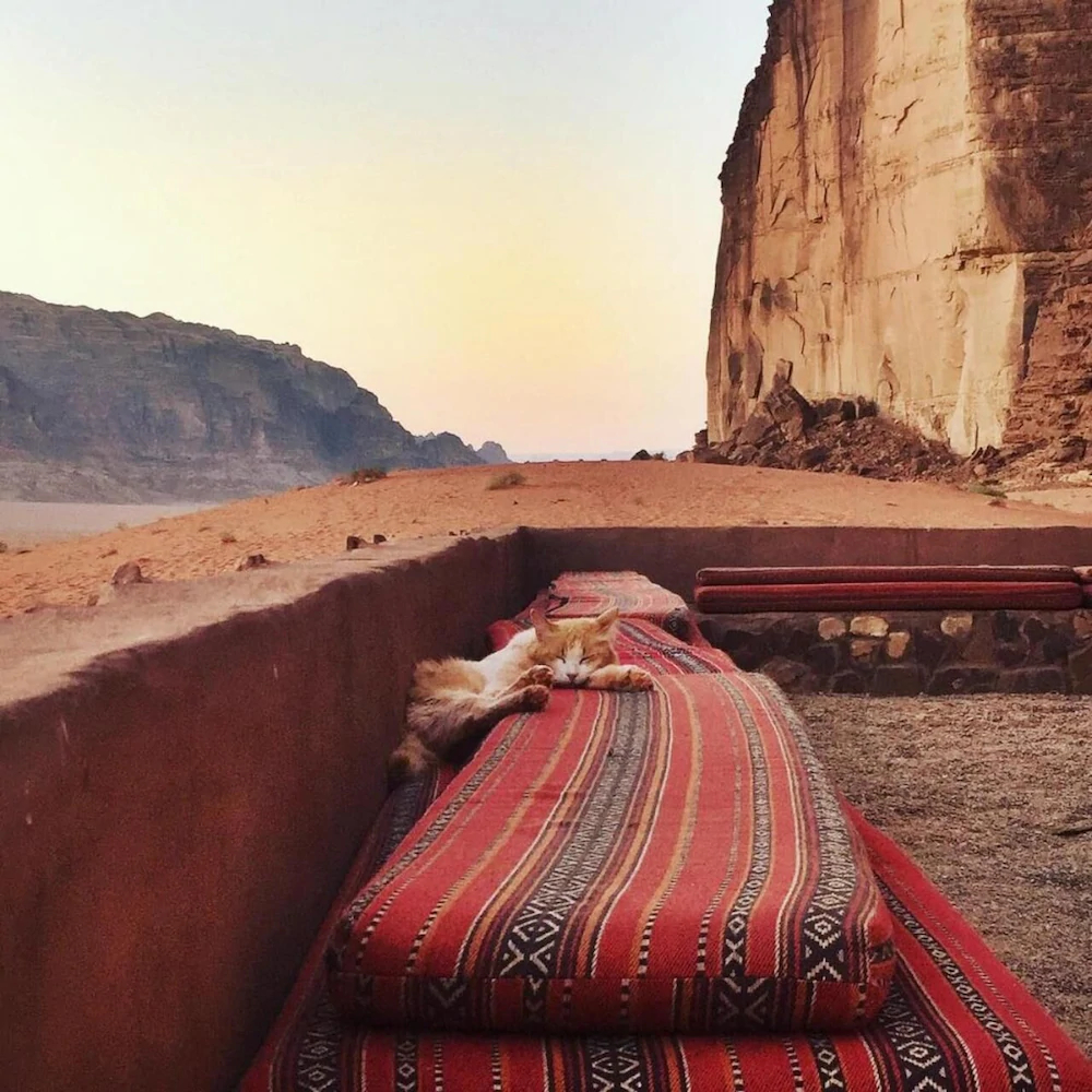 Wadi Rum Bedouin Camp