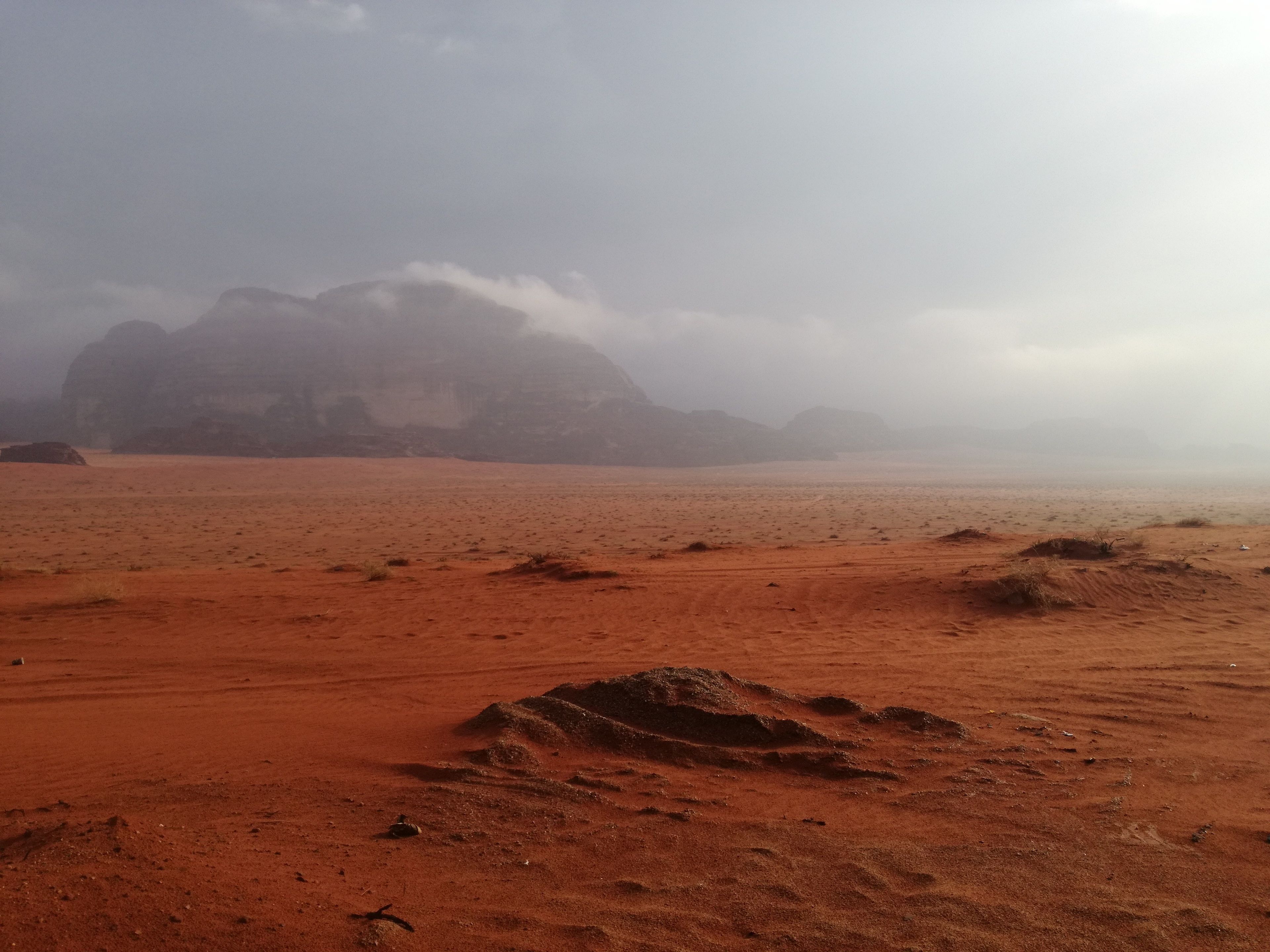 Wadirum Desert Tours camp