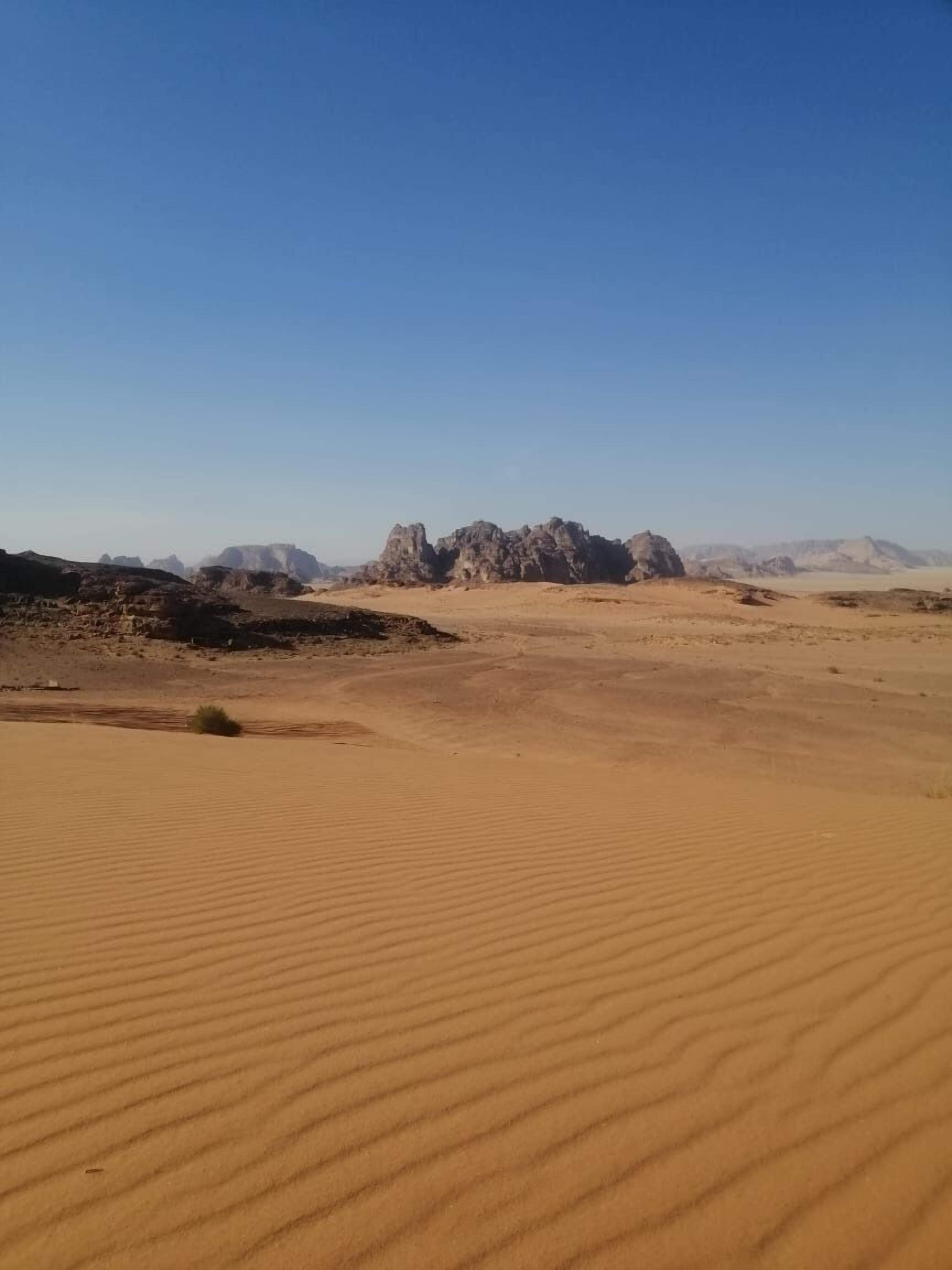 Wadirum Desert Tours camp