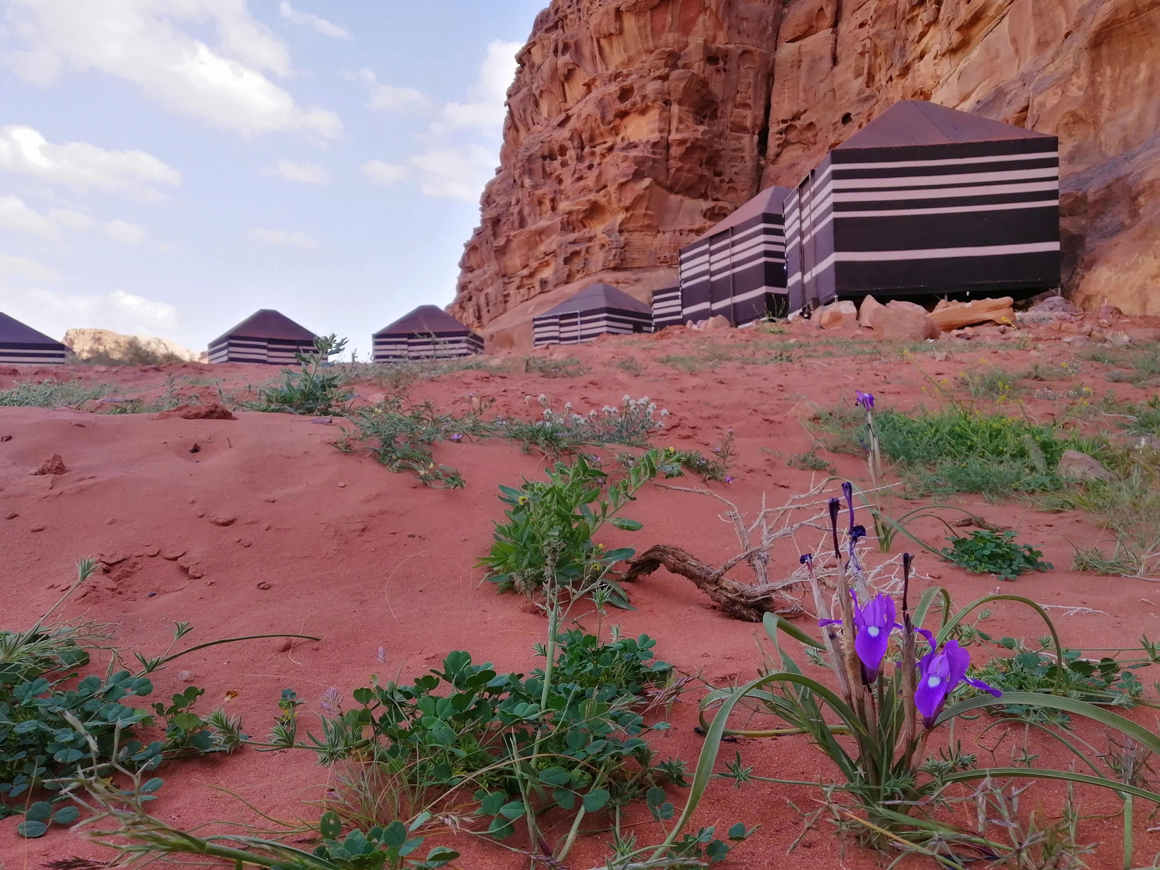 Wadirum Desert Tours camp