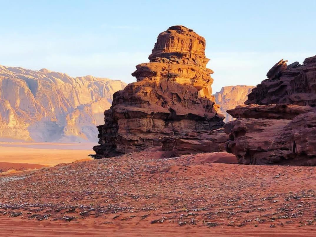 Wadi Rum Moon Camp