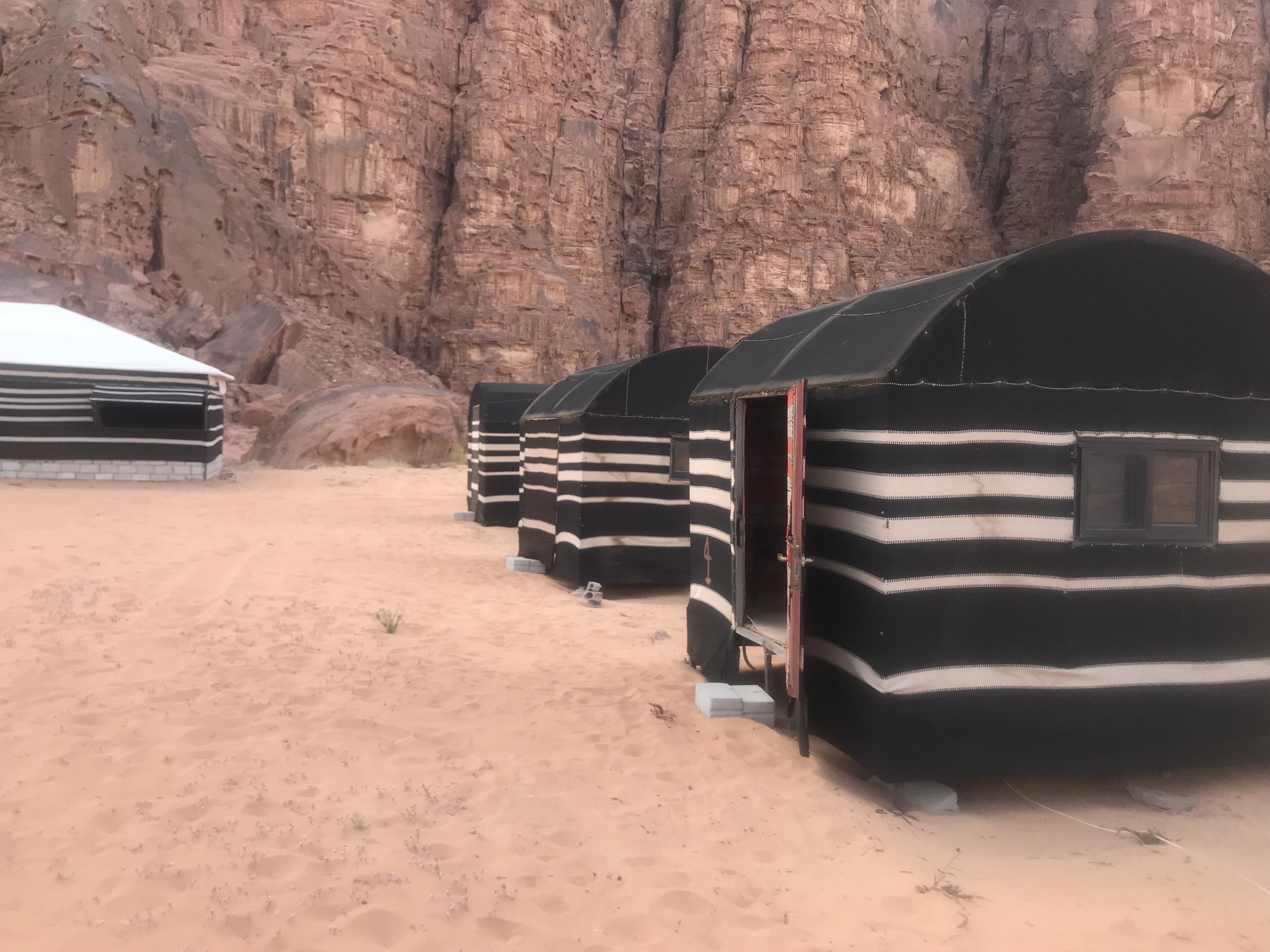 Wadi Rum Safari Camp & Trips