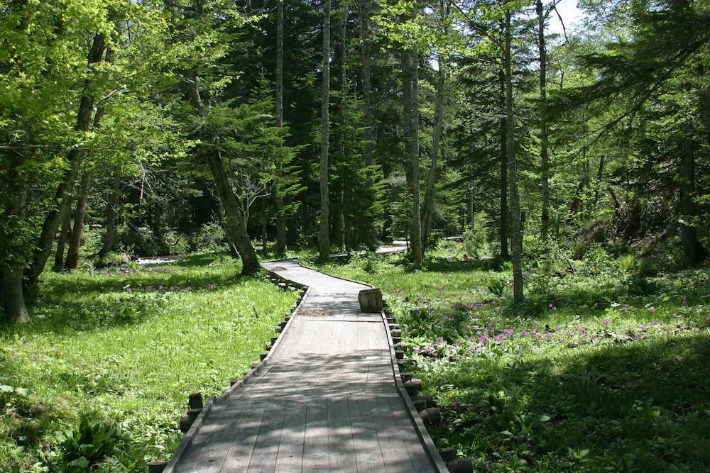 Moritsubetsu