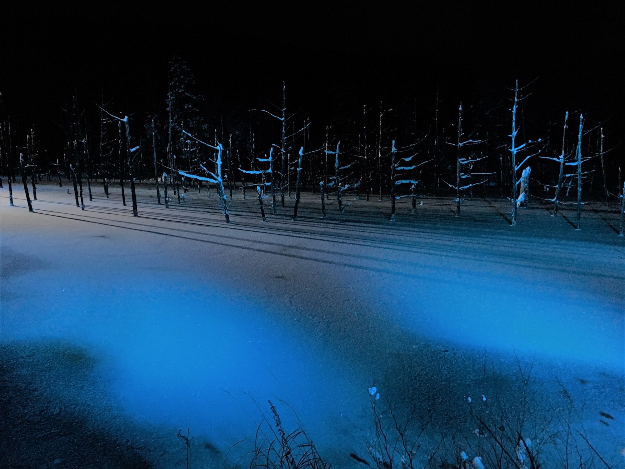 Shirogane Park Hills