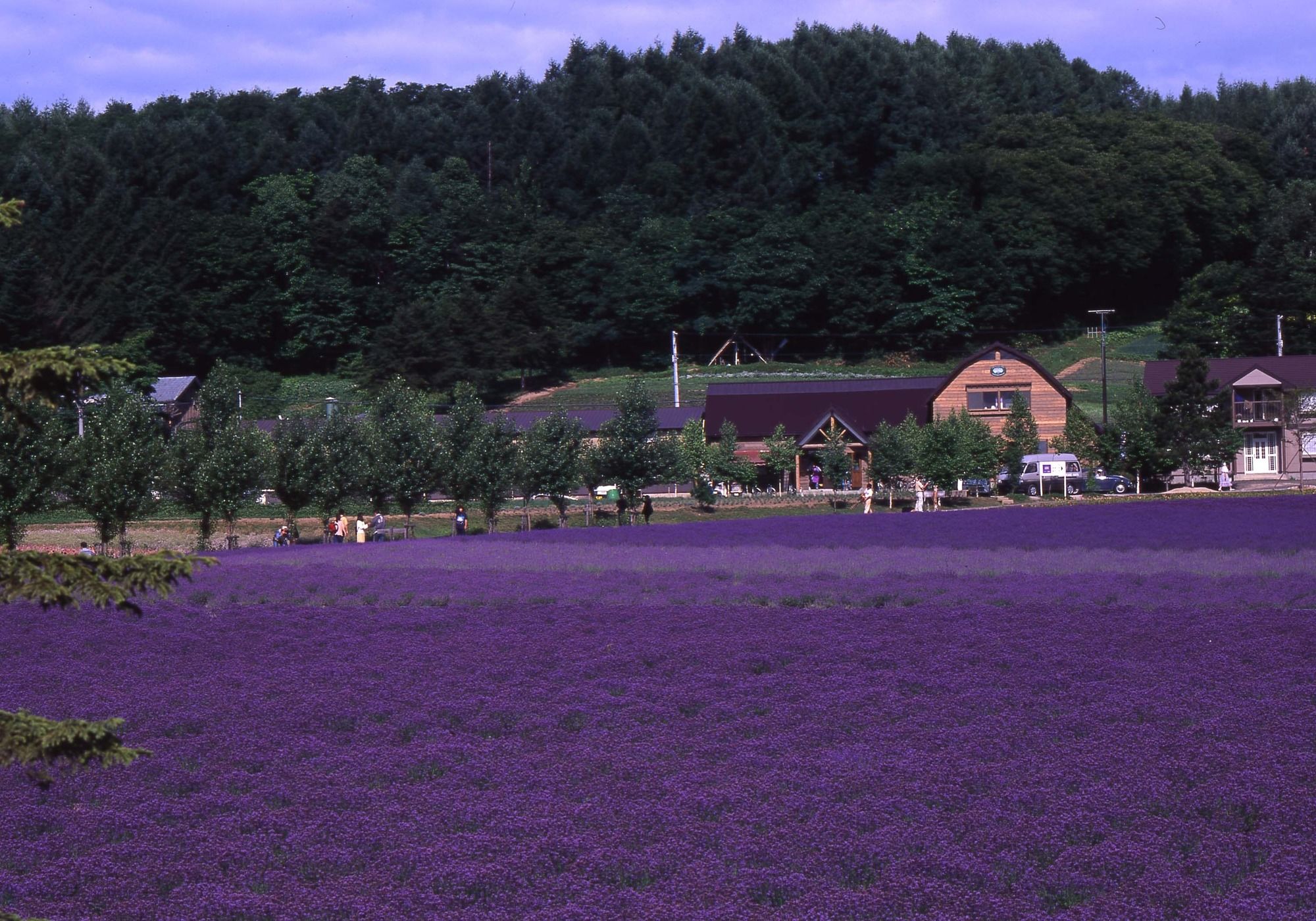Furano Natulux Hotel
