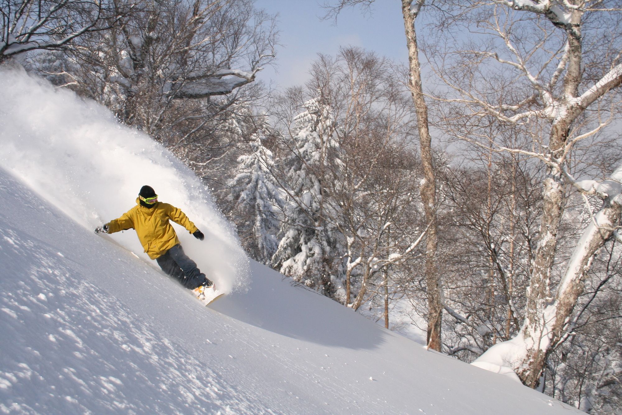 Furano Natulux Hotel