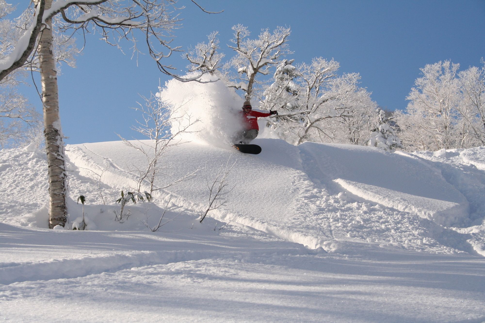 Furano Natulux Hotel