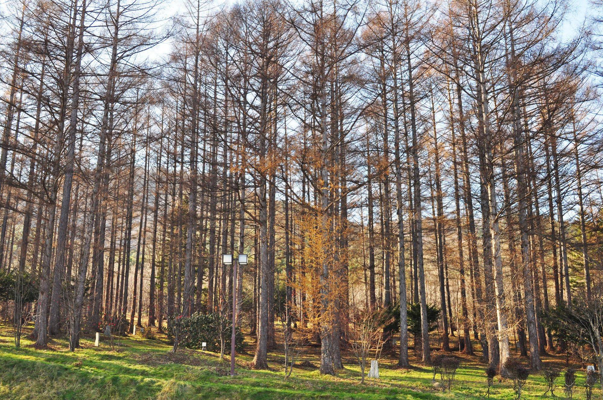 Highland Furano