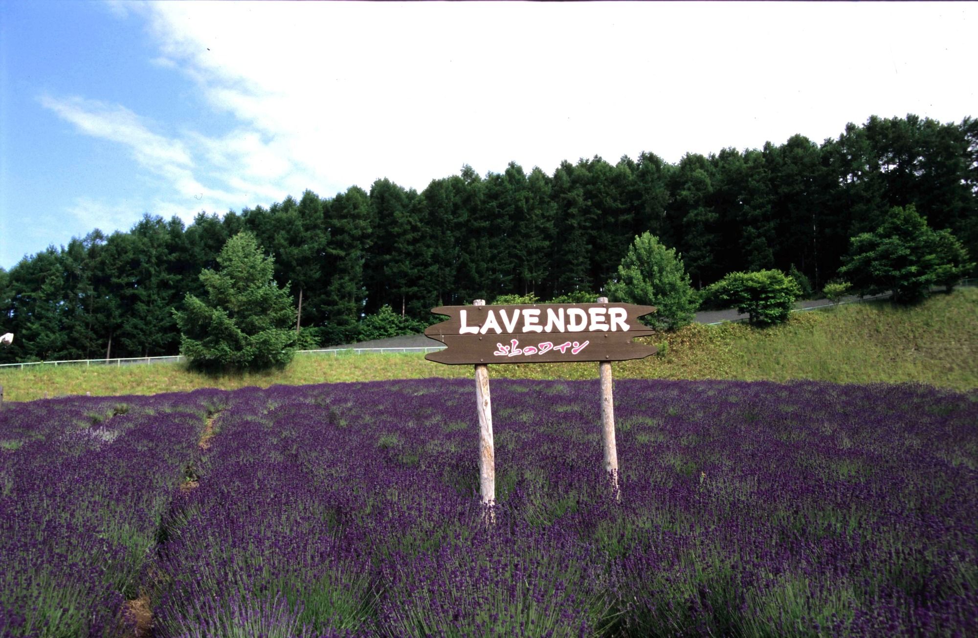 Hotel Naturwald Furano