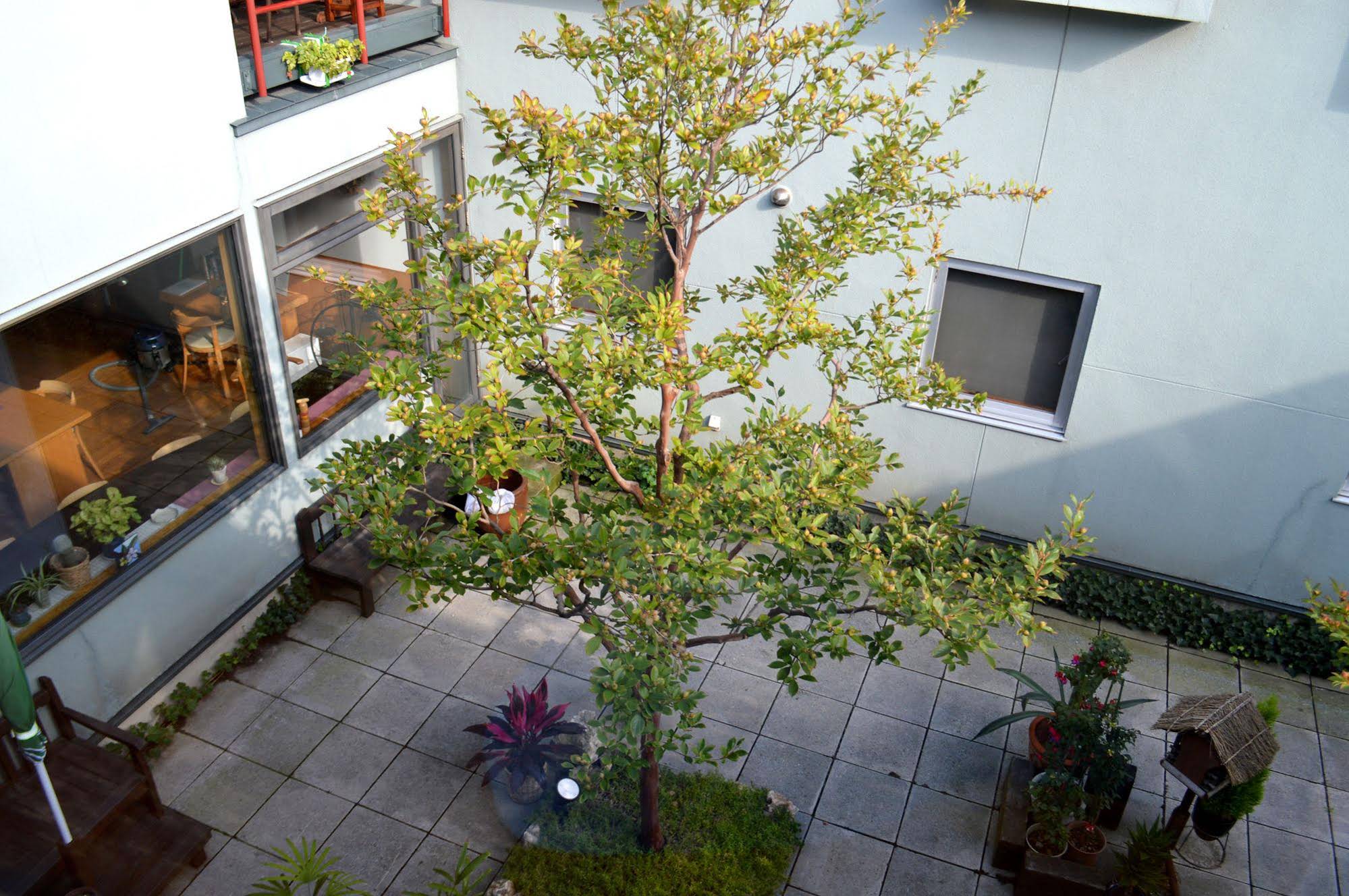 B&B Pension Hakodatemura
