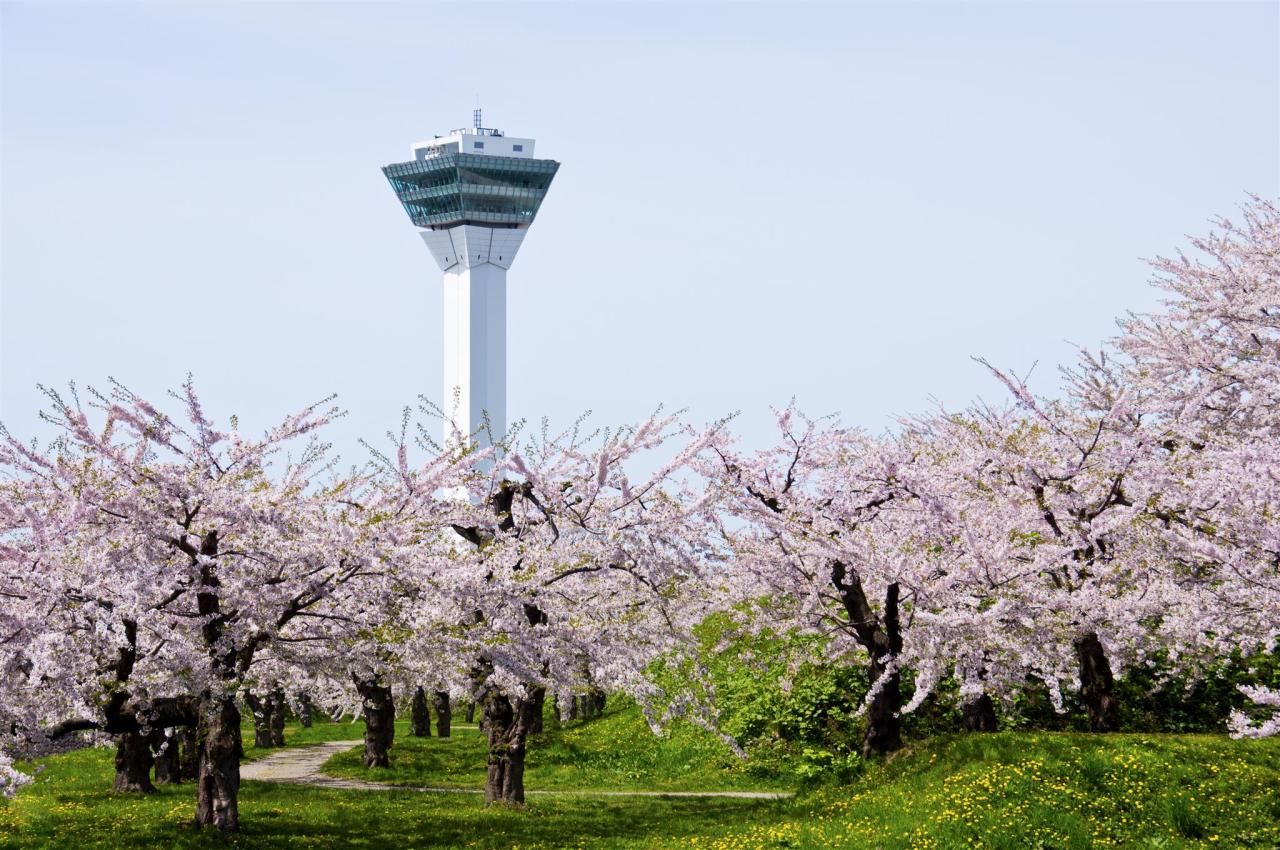 Business Hotel Hokuto