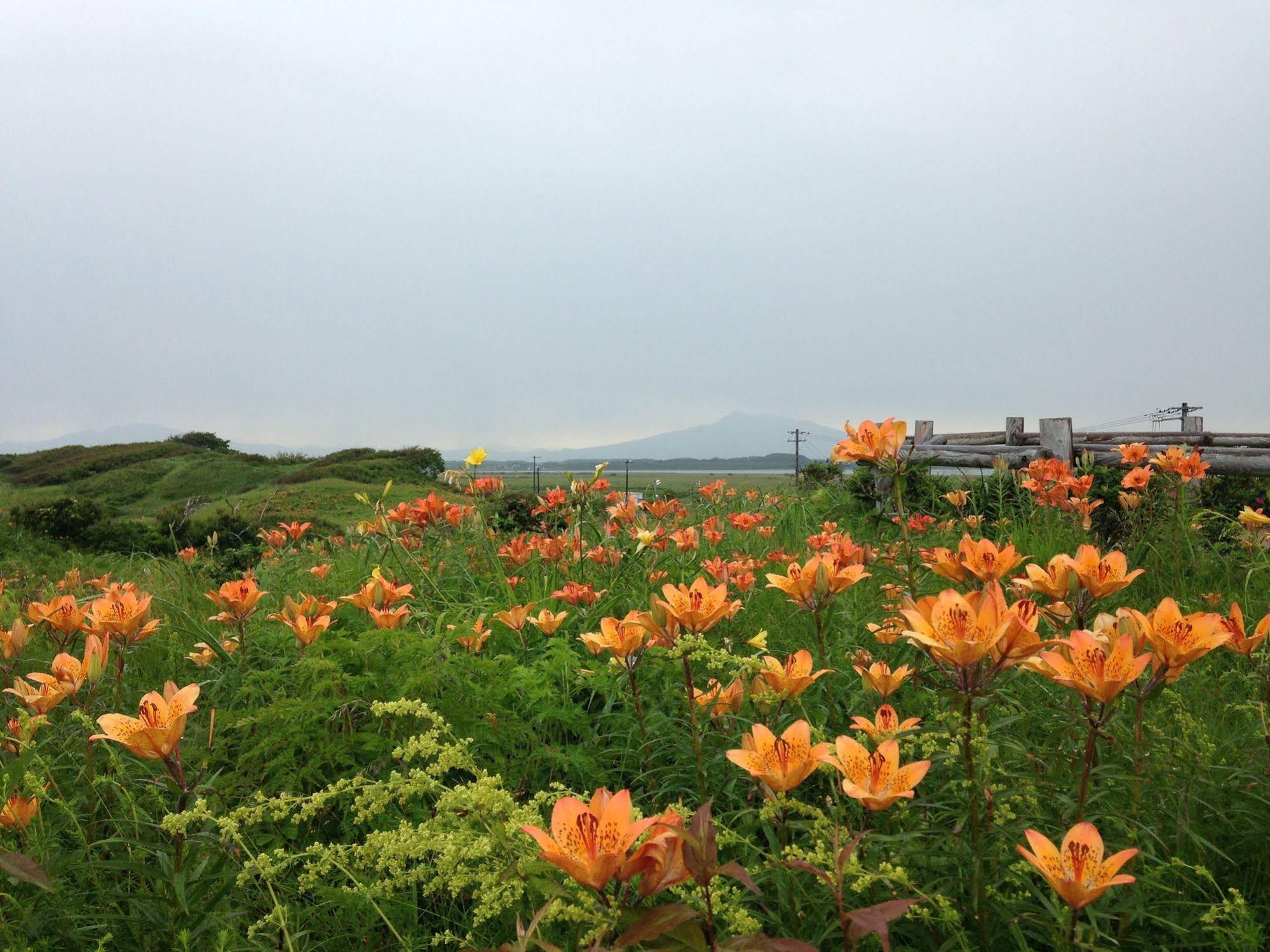Koshimizu Hana Kotori Youth Hostel