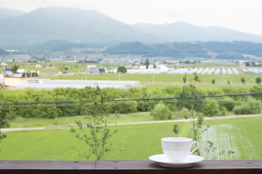 Furano Lookout