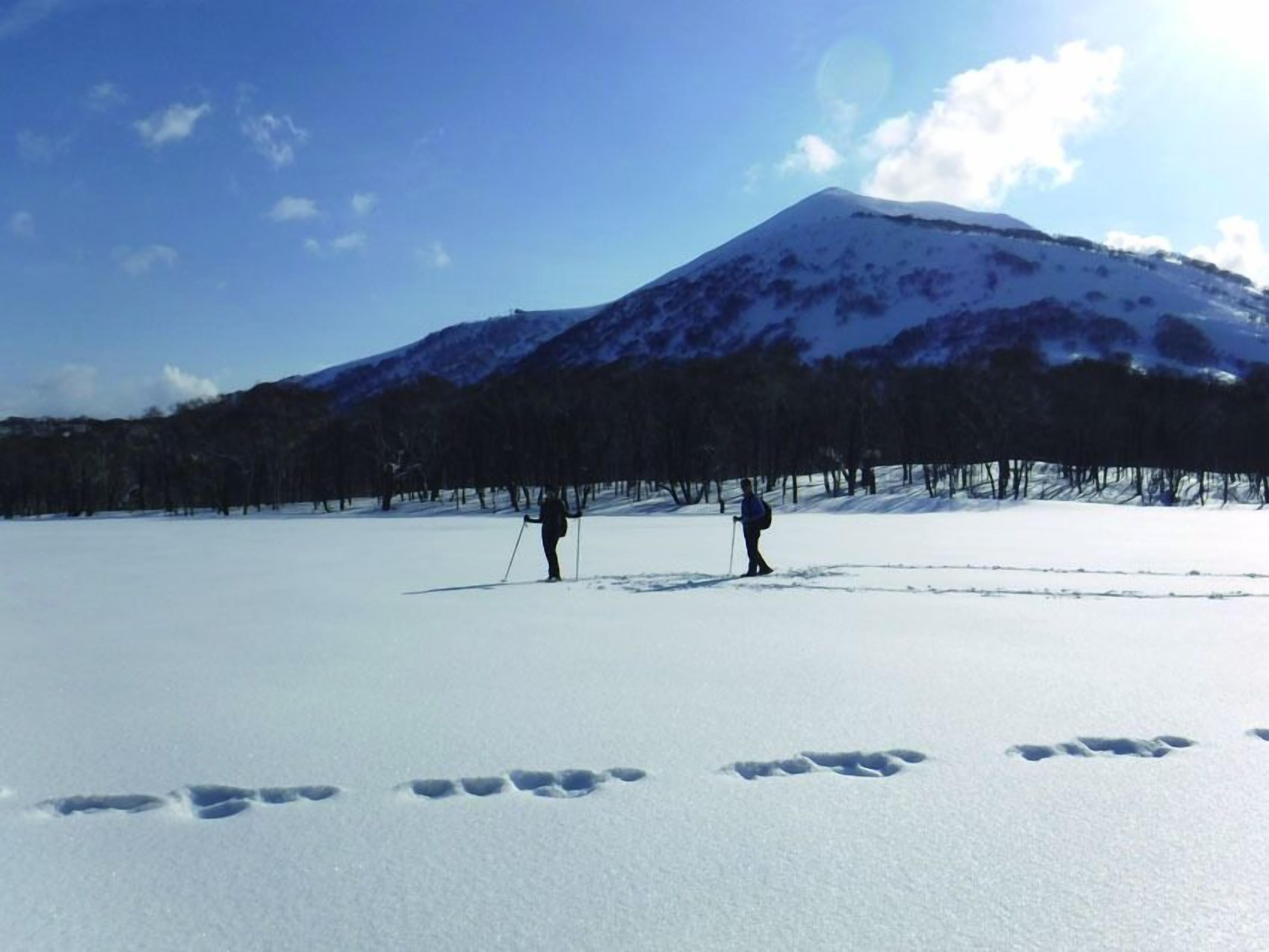 Niseko Annupuri Cottage momo