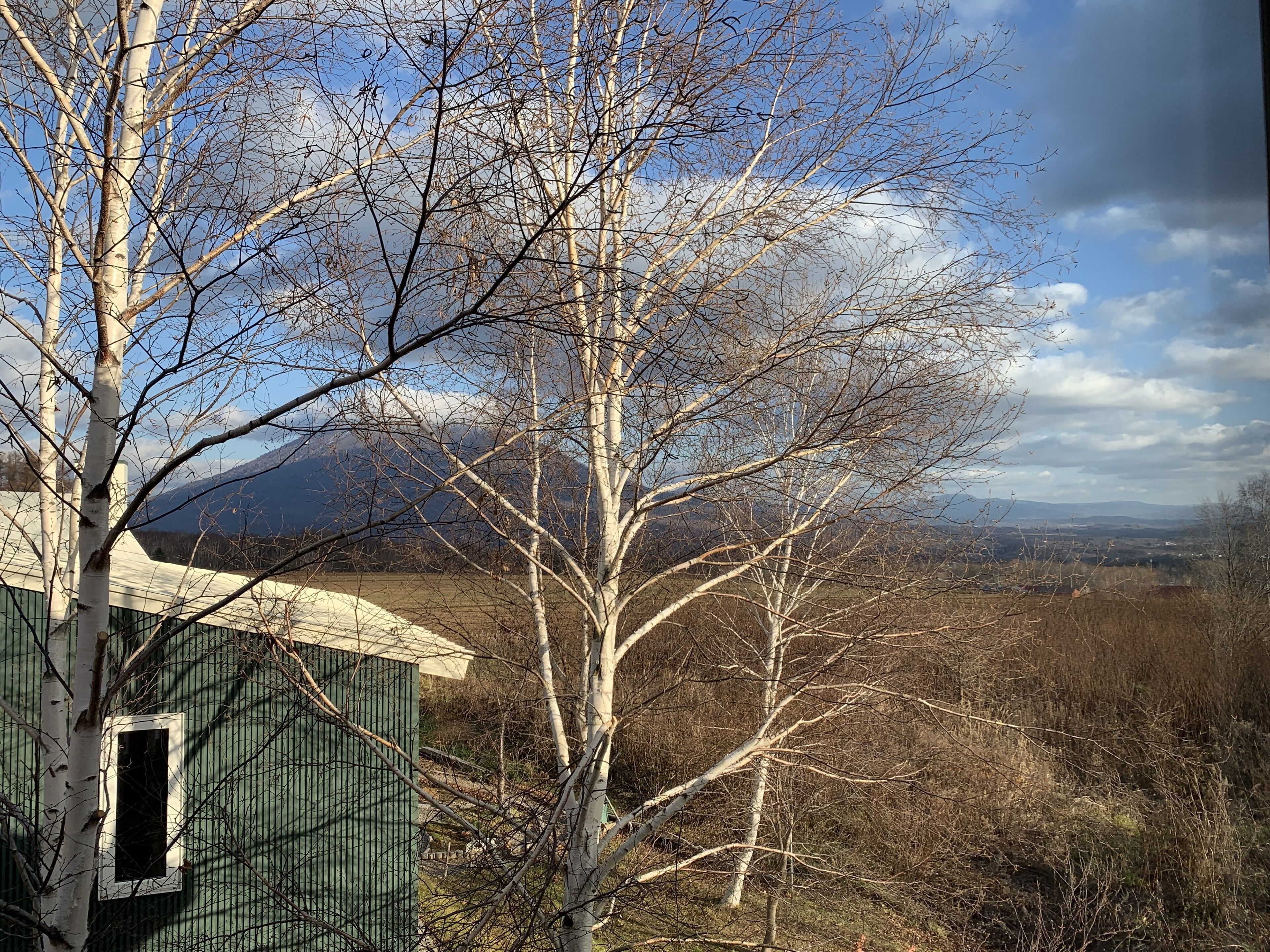 Niseko Annupuri Cottage momo