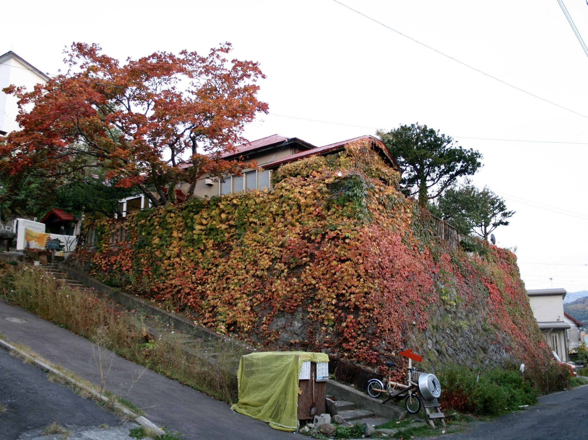 Otarunai Backpackers' Hostel Morinoki