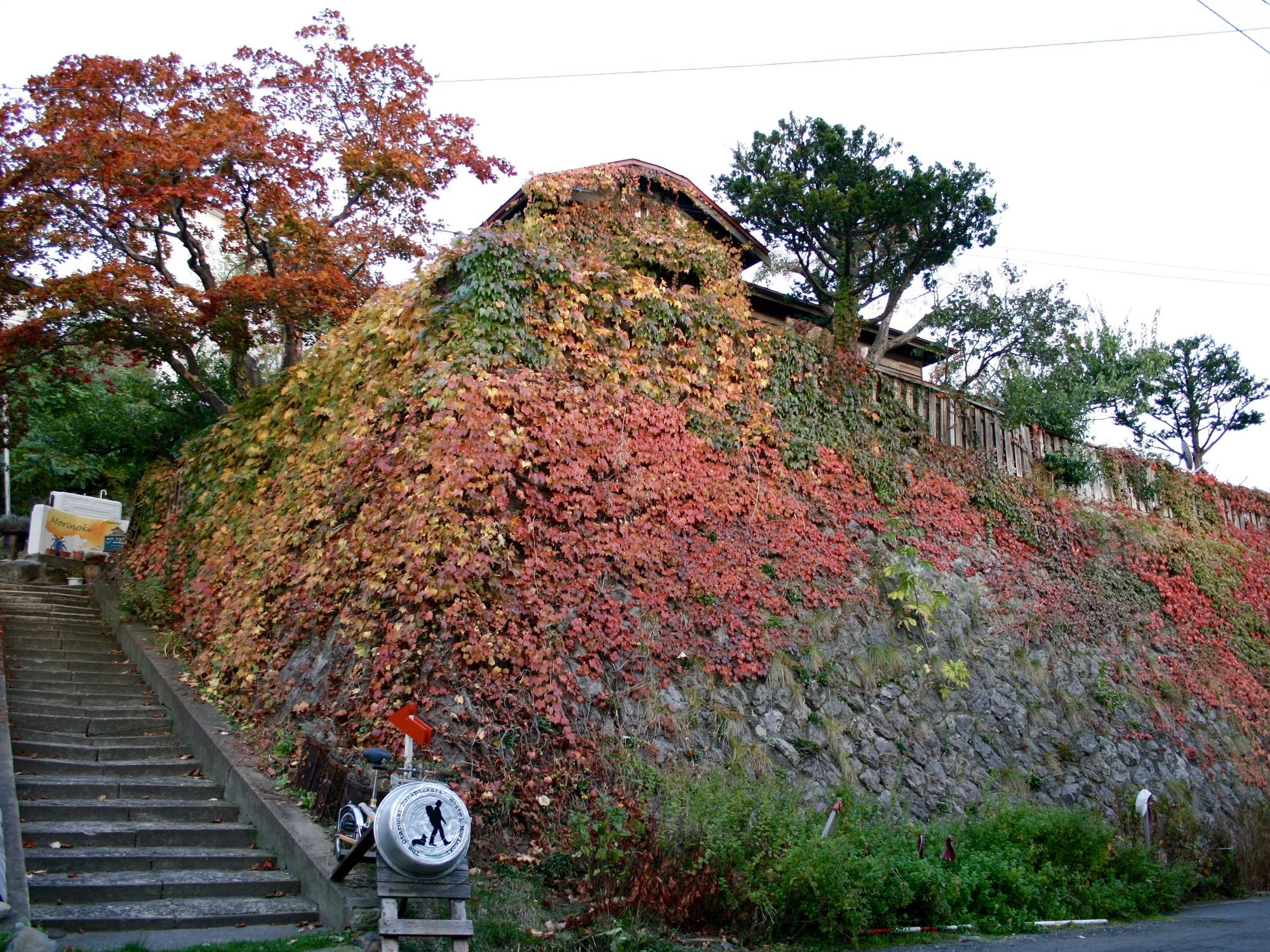 Otarunai Backpackers' Hostel Morinoki