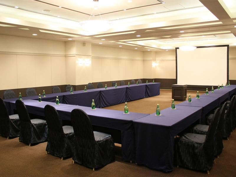 Hotel Emisia Sapporo