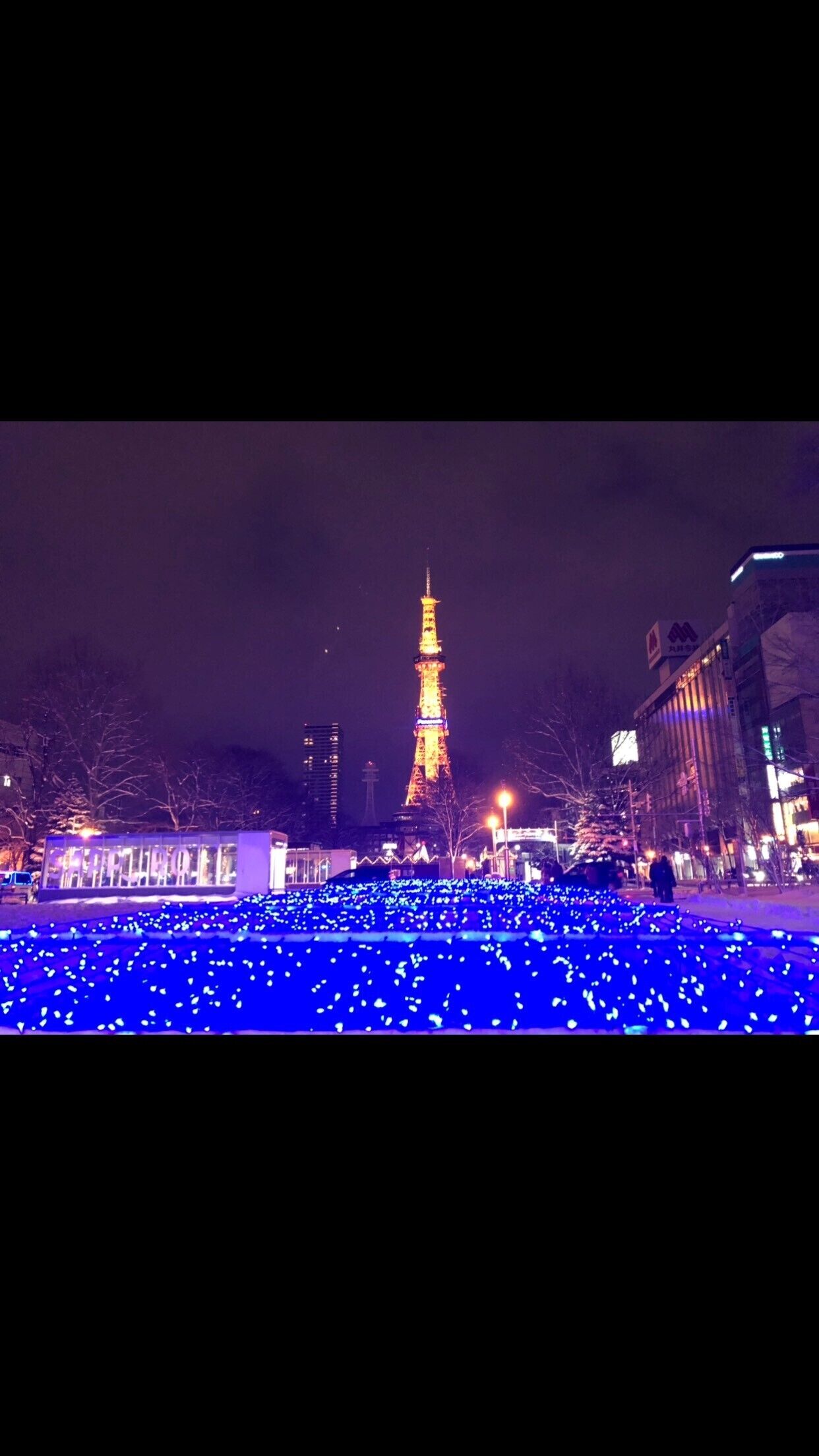 Sapporo Princess Hotel - Hostel